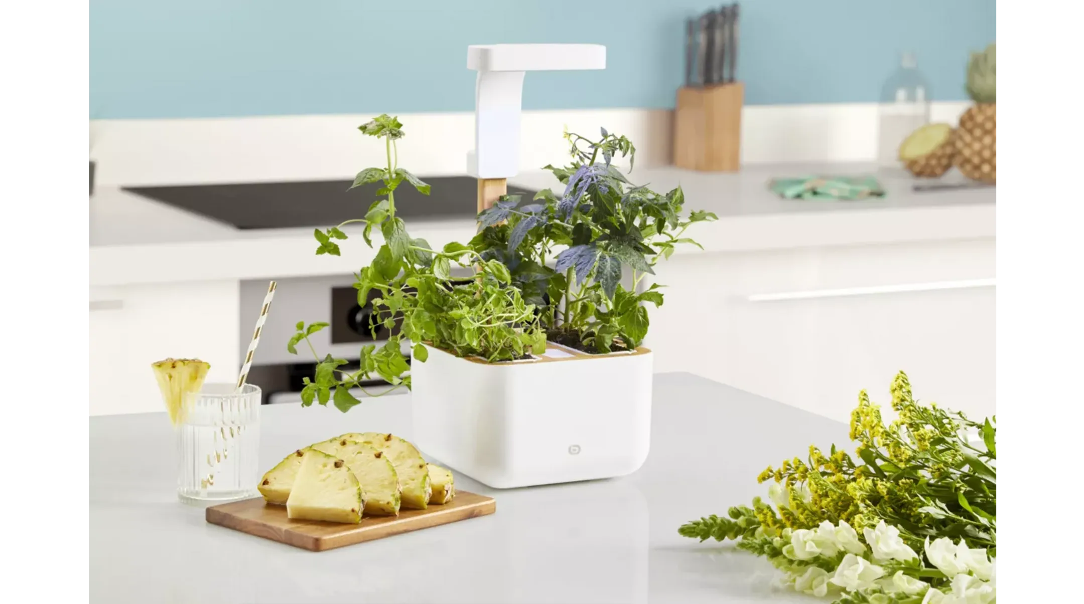 ESSENTIEL-B Eve Indoor garden image