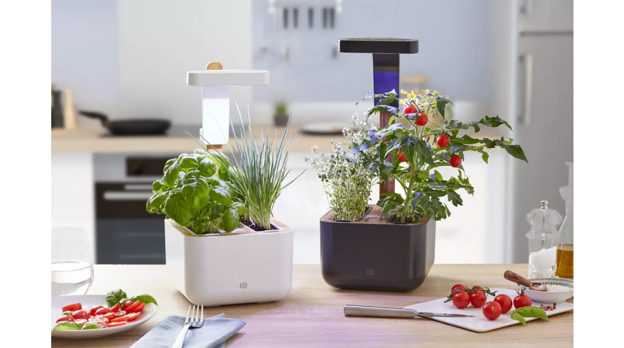 ESSENTIEL-B Eve Indoor garden image