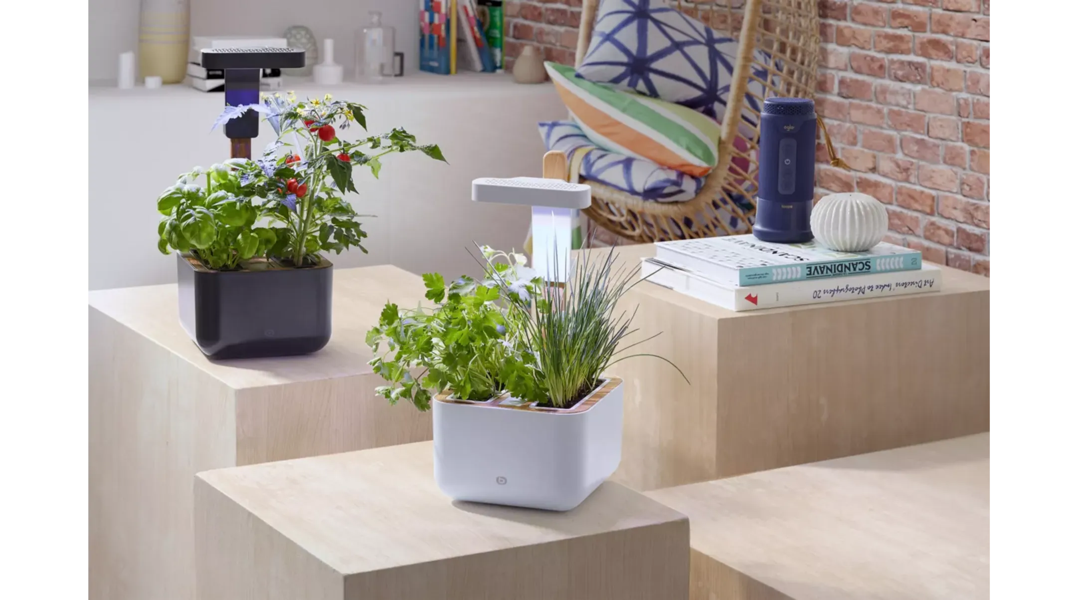 ESSENTIEL-B Eve Indoor garden image