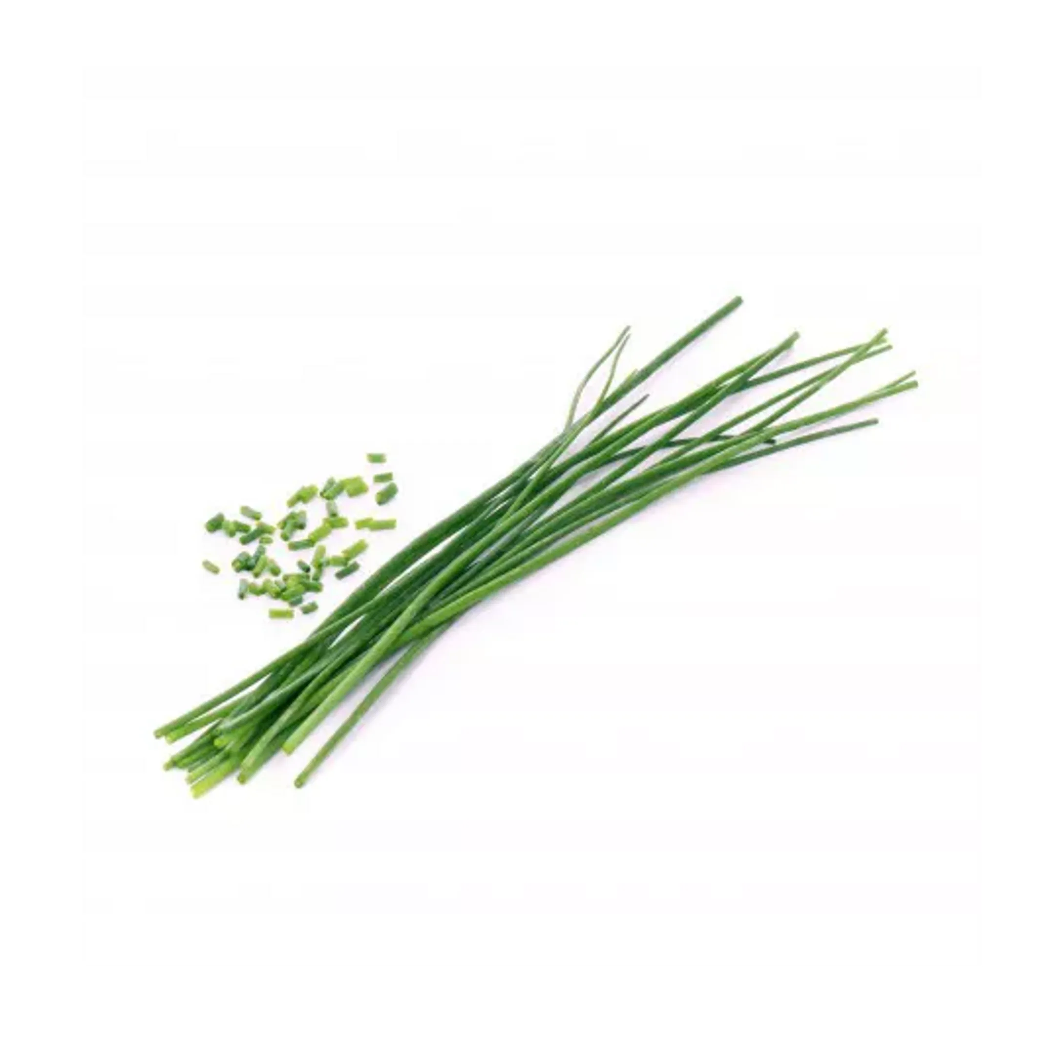 Recharge jardin d'intérieur Veritable Ciboulette Bio