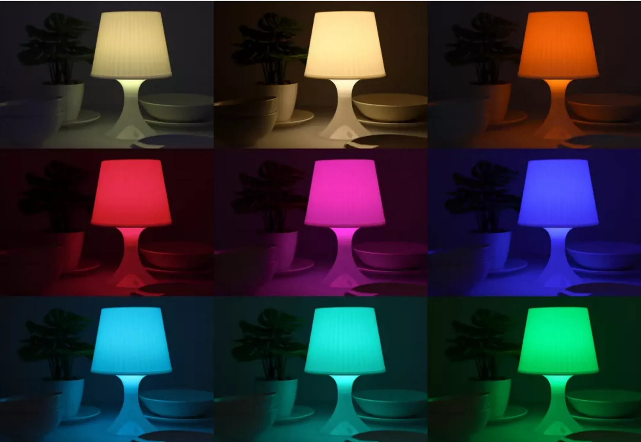 ESSENTIEL-B Pack ampoules connectées Découverte Blancs & Couleurs - E27 image