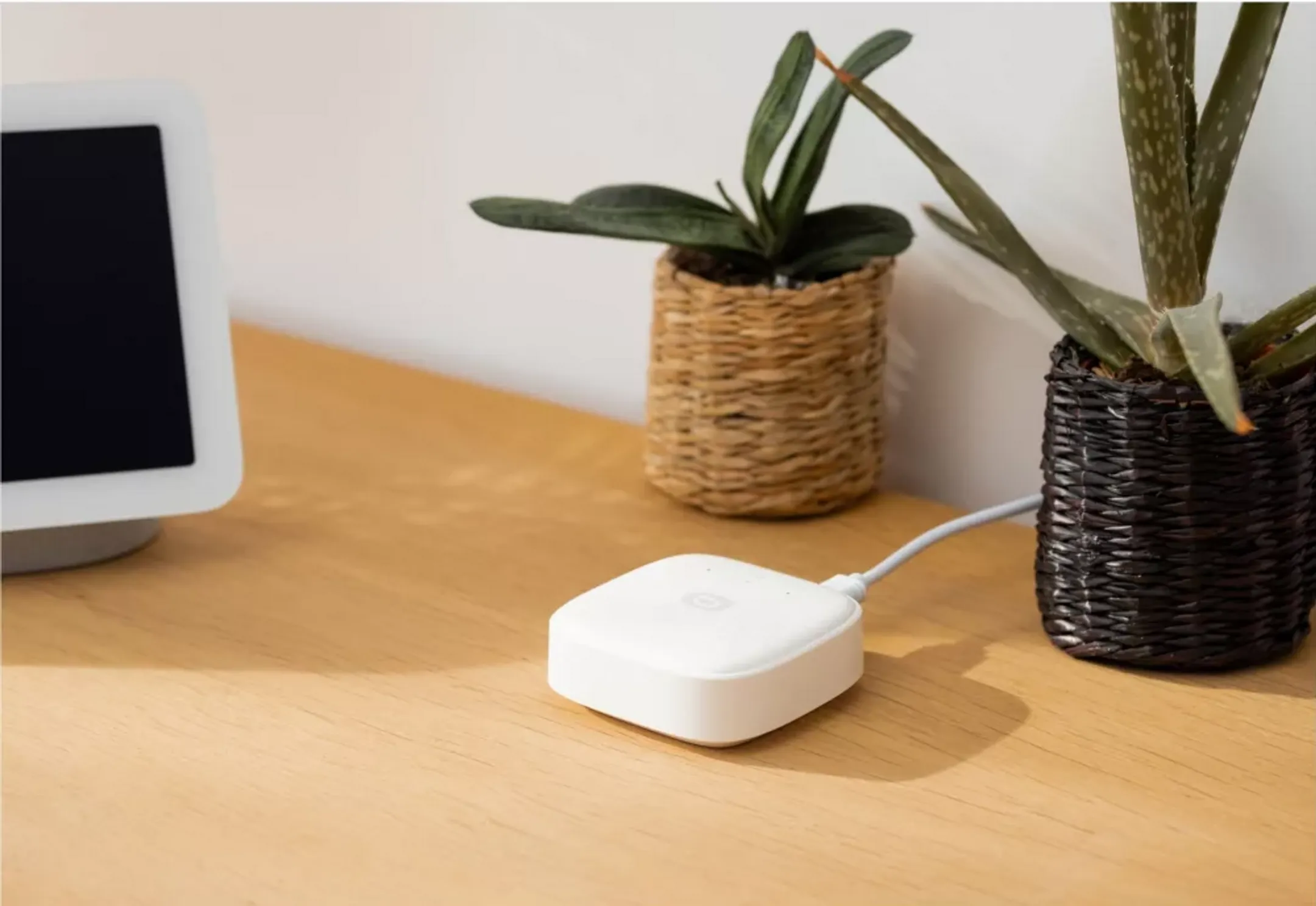 ESSENTIEL-B Pack ampoules connectées Découverte Blancs & Couleurs - E27 image