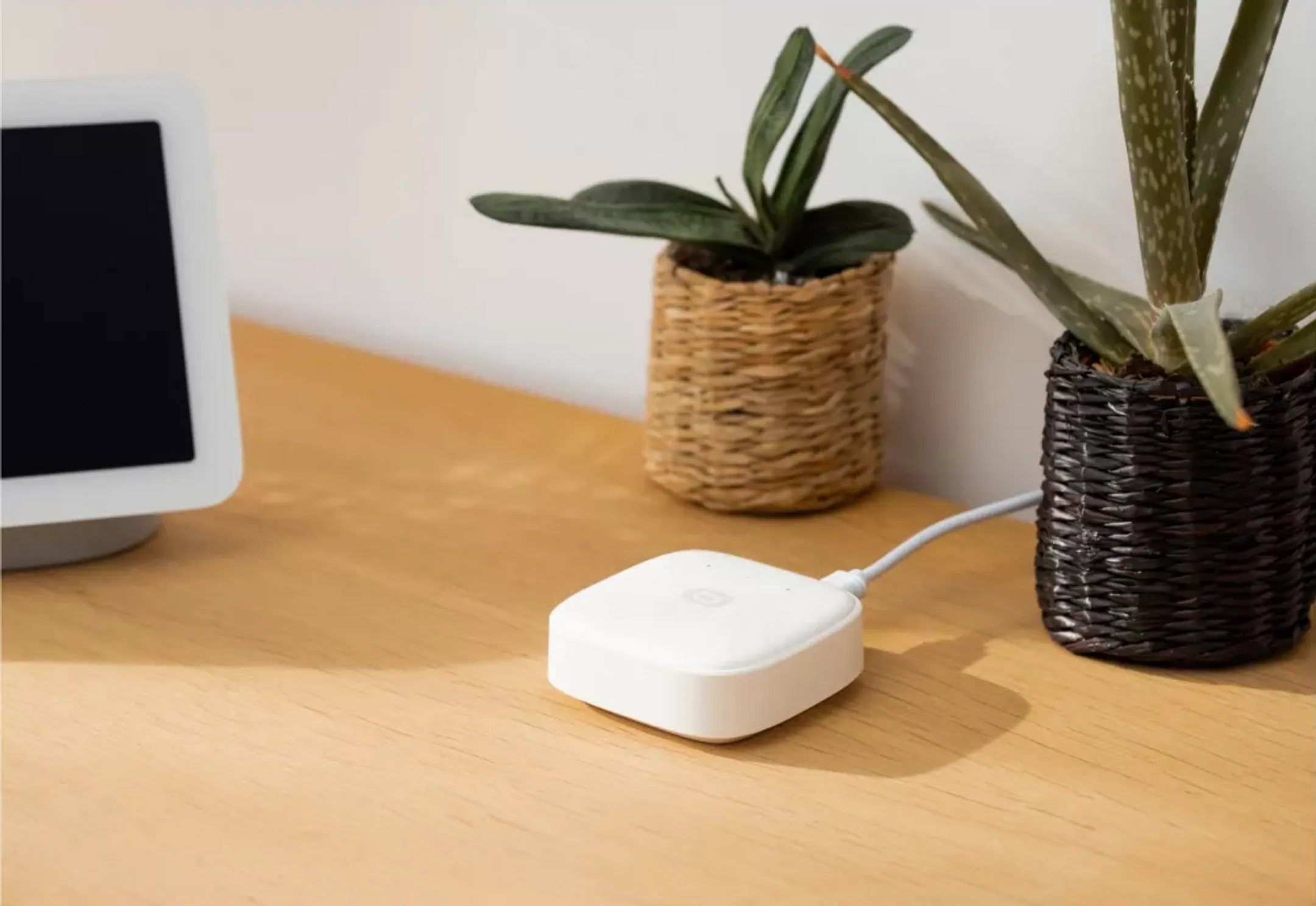 ESSENTIEL-B Pack ampoules connectées Découverte Filament Edison - E27 image