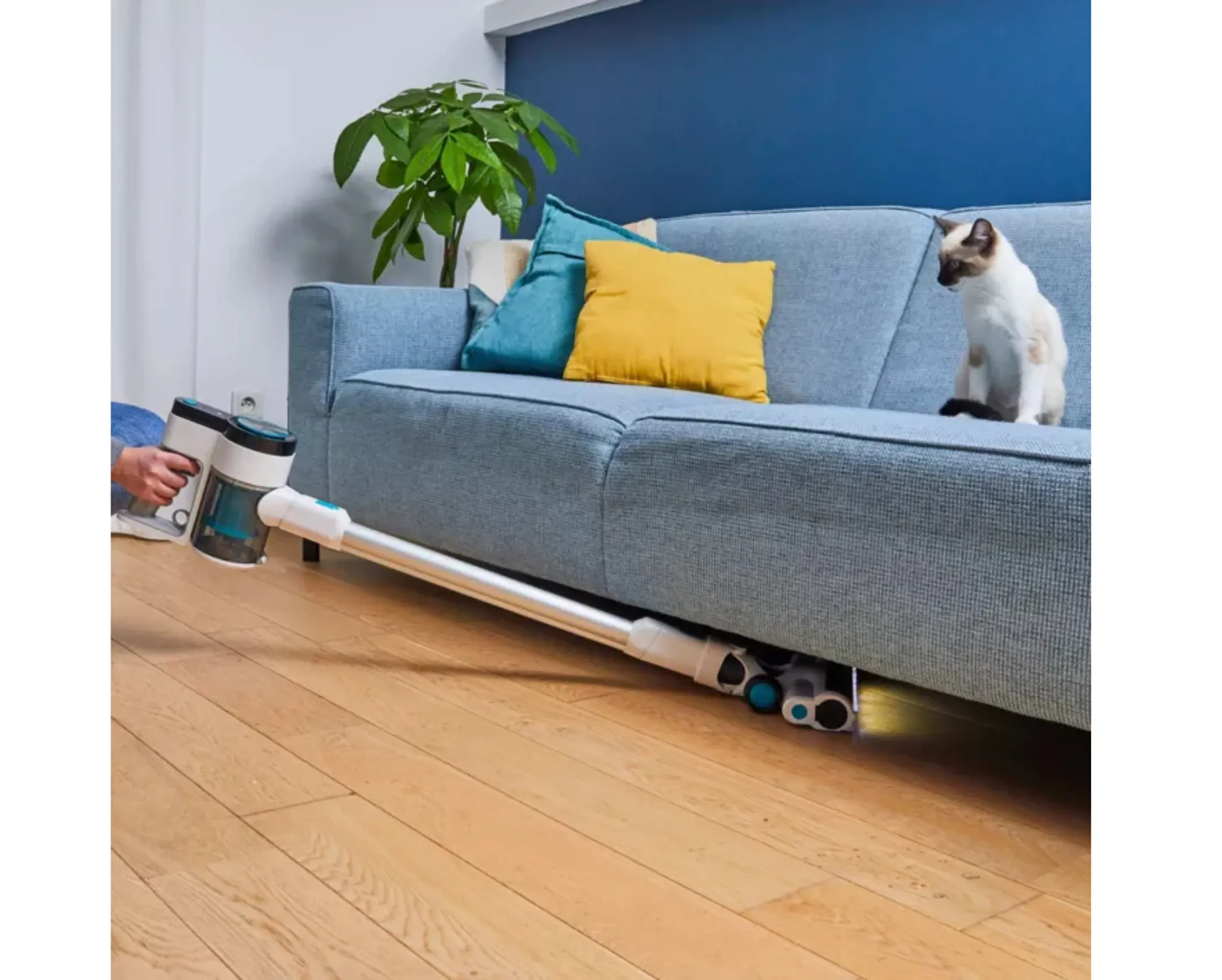 ESSENTIEL-B Upright vacuum cleaner EAMU 216 Easy 2 image