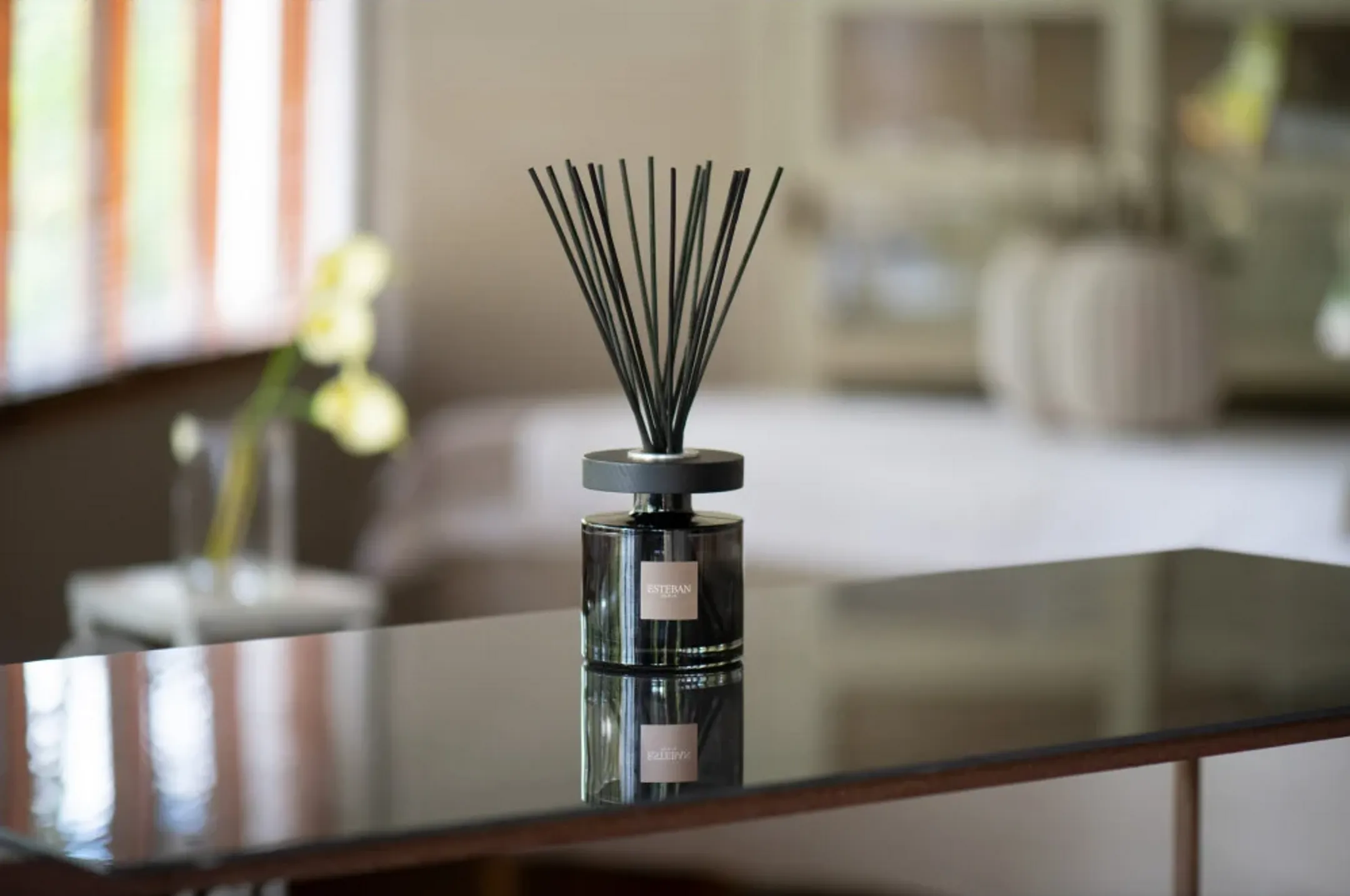 ESTEBAN Perfumed Bouquet Ellipse Fig Black image