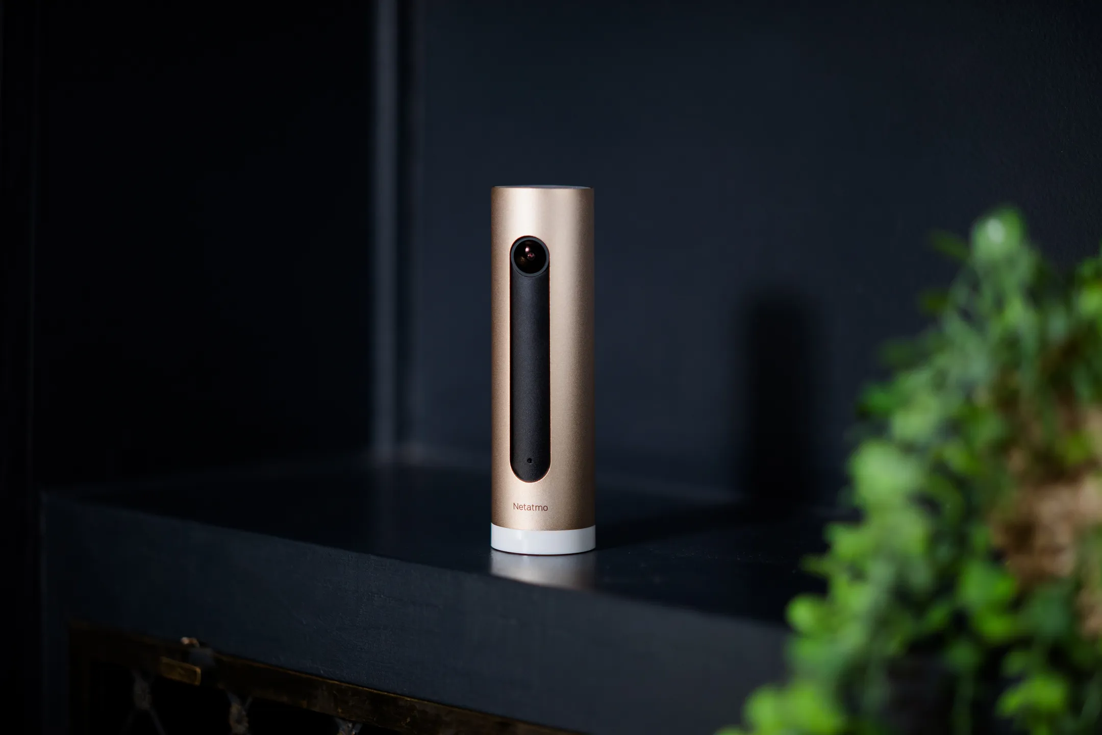 Netatmo Caméra Intérieure Intelligente image