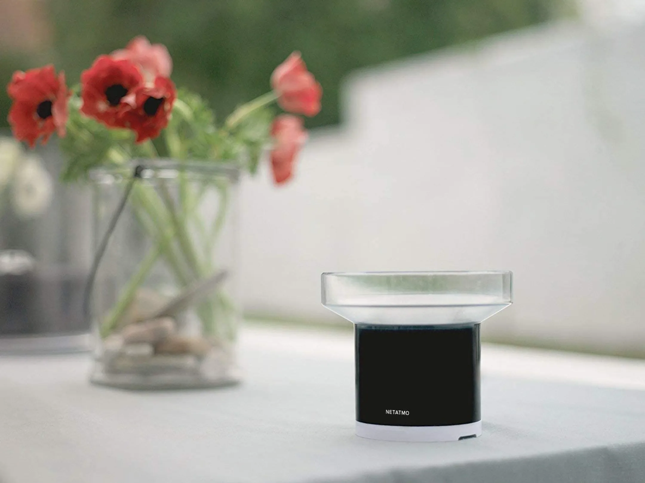 Netatmo Smarter Regenmesser image