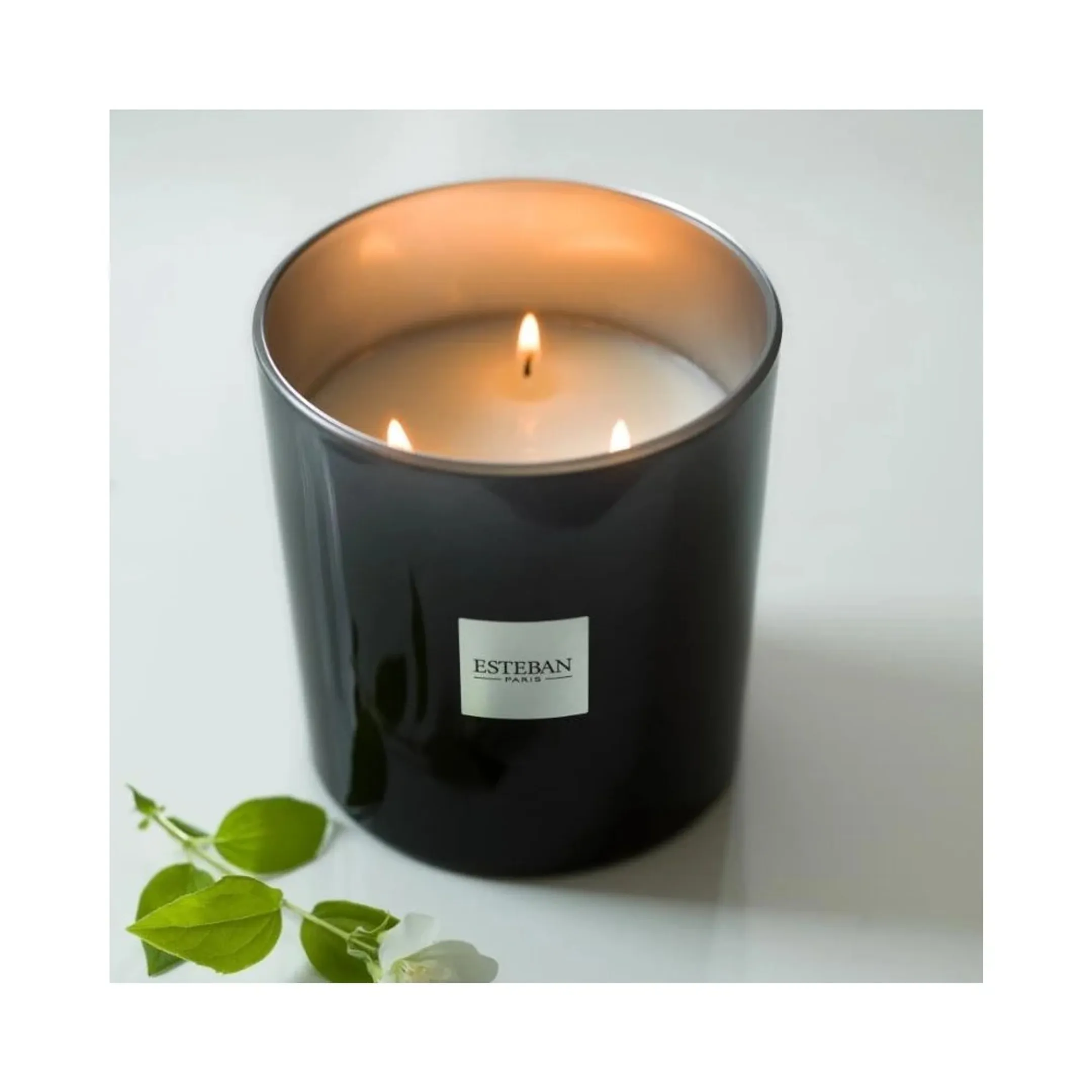 ESTEBAN Duftkerze 450g Teck et Tonka image