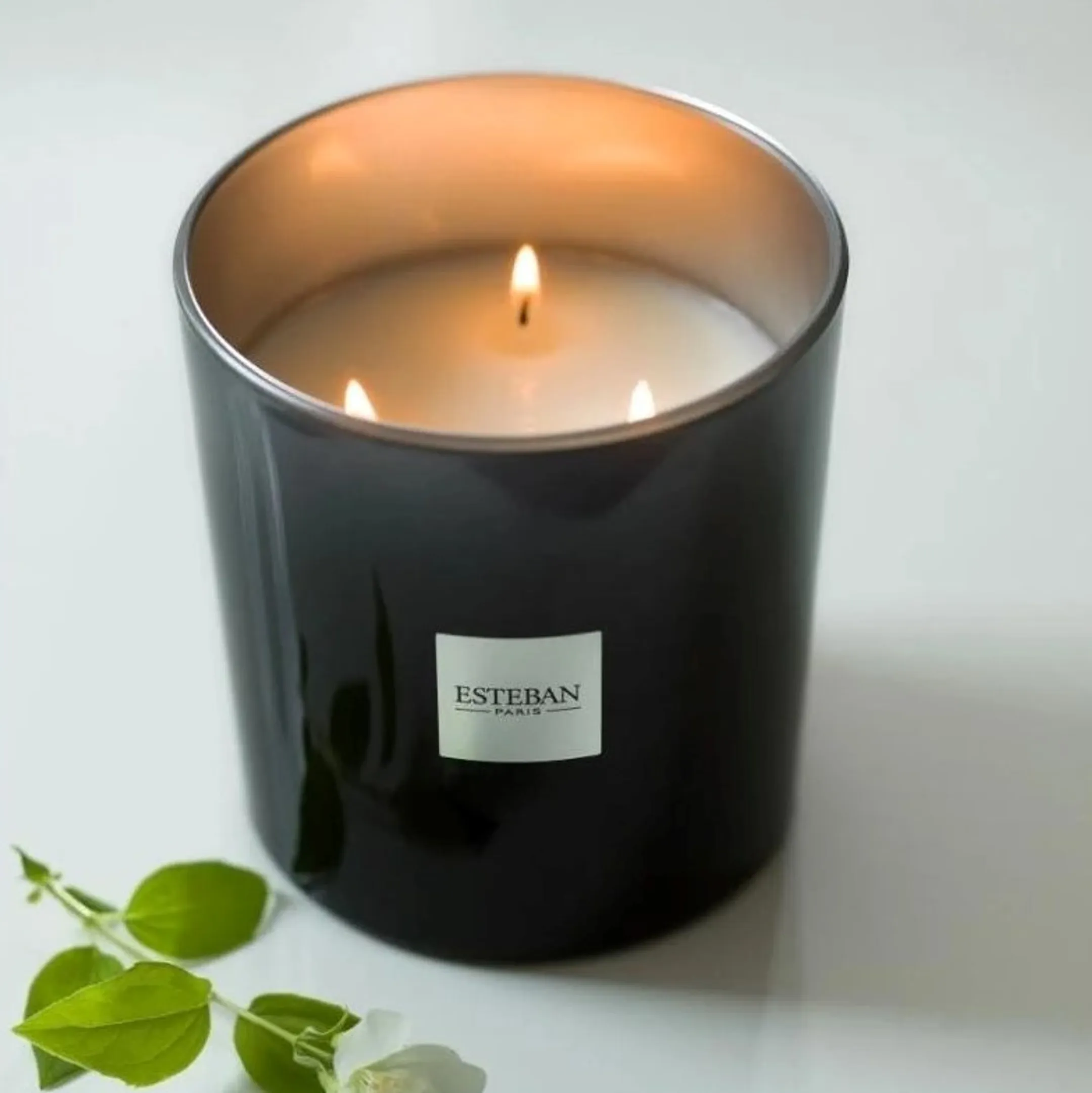 ESTEBAN Duftkerze 450g Iris Cachemire image