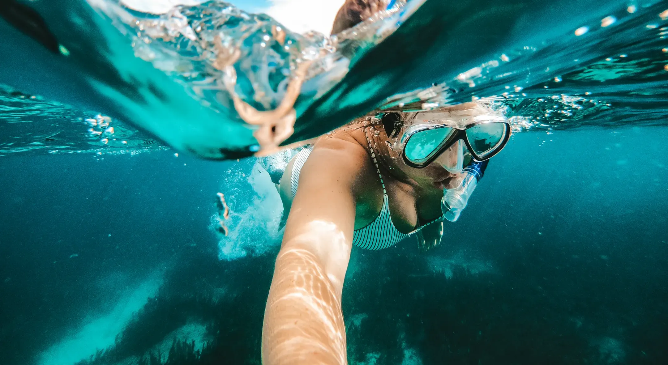 GoPro GoPro The Handler 3.0 image