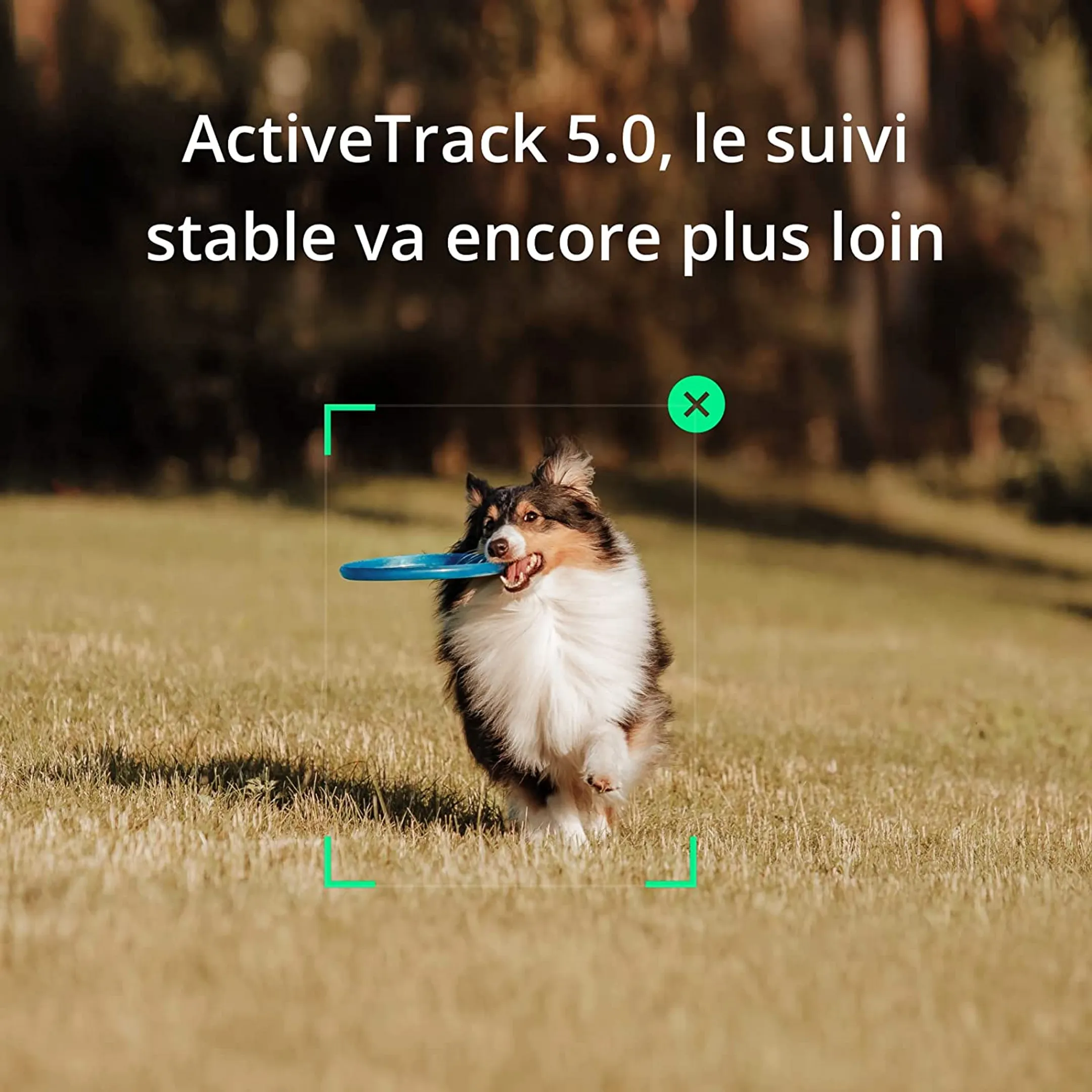 DJI Stabilisateur pour Smartphone Osmo Mobile SE image