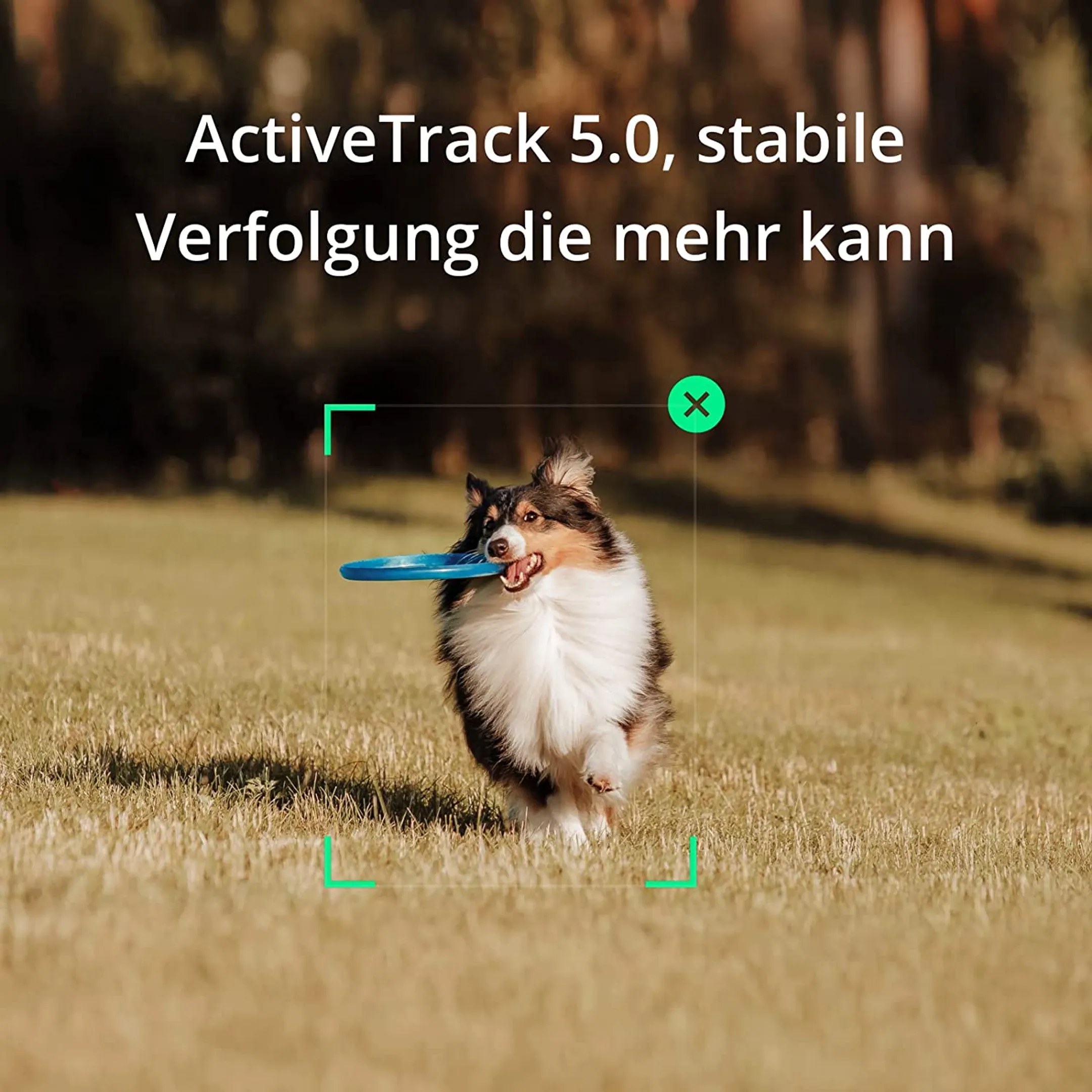 DJI Smartphone-Gimbal Osmo Mobile SE image