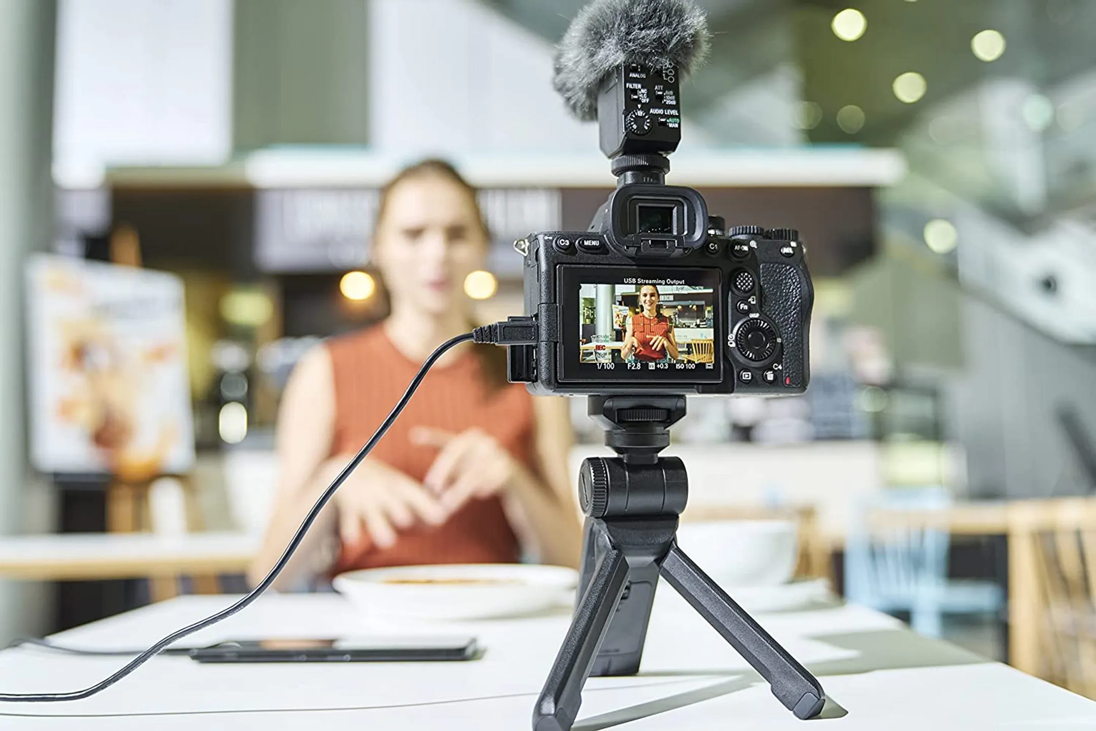 Sony Alpha 7 IV Full Frame Hybrid Camera - ILCE7M4B.CEC image