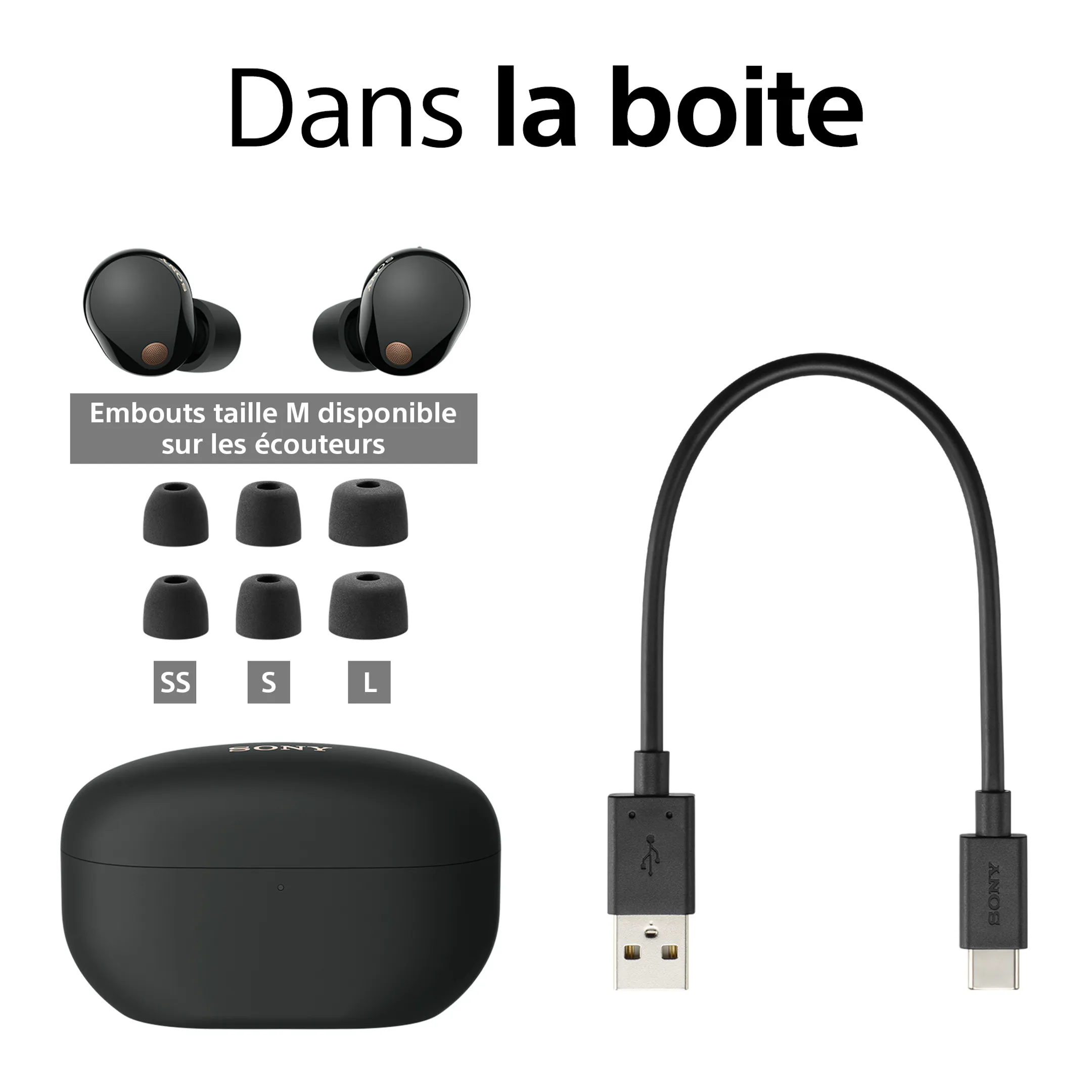 Sony Ecouteurs sans fil WF-1000XM5B - Noir image