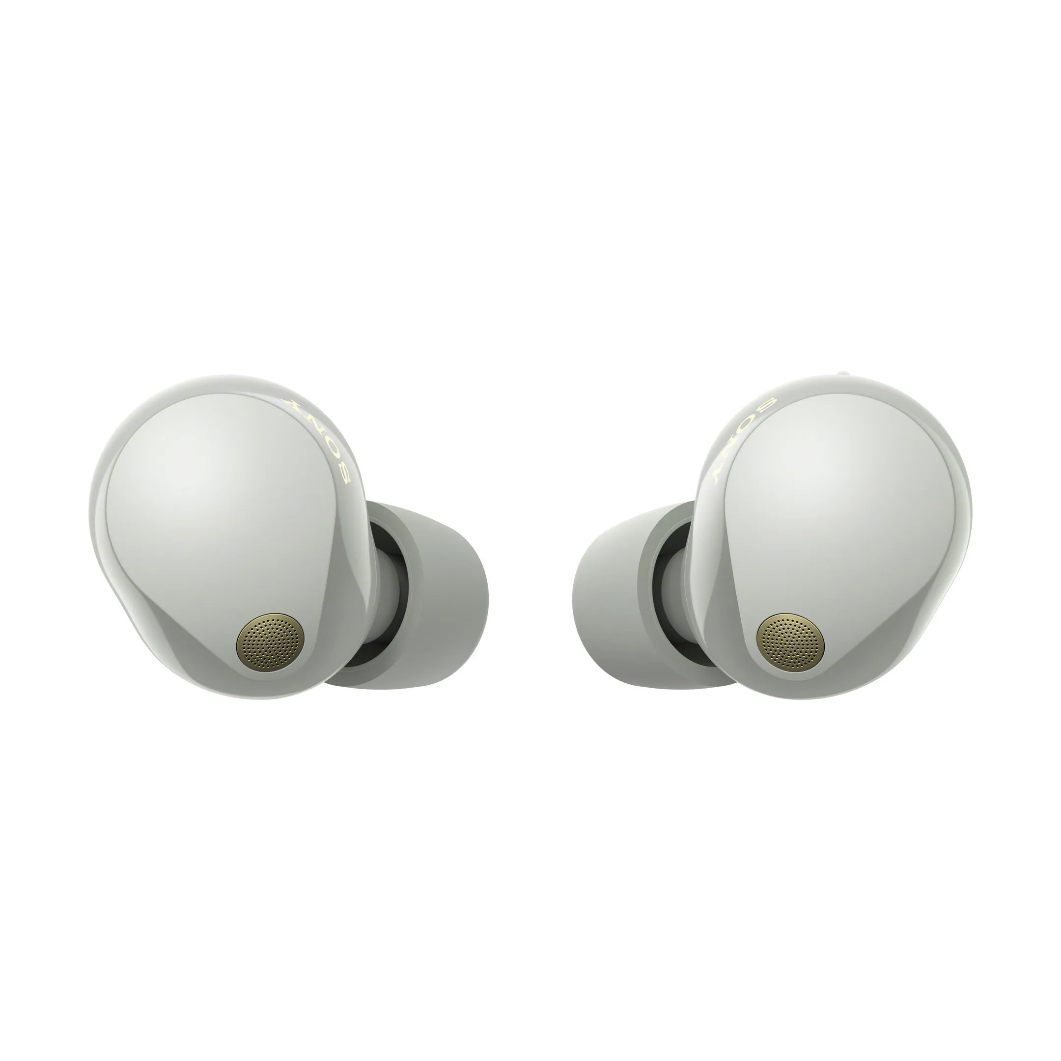 Sony WF-1000XM5S Wireless Earphones - Grey image