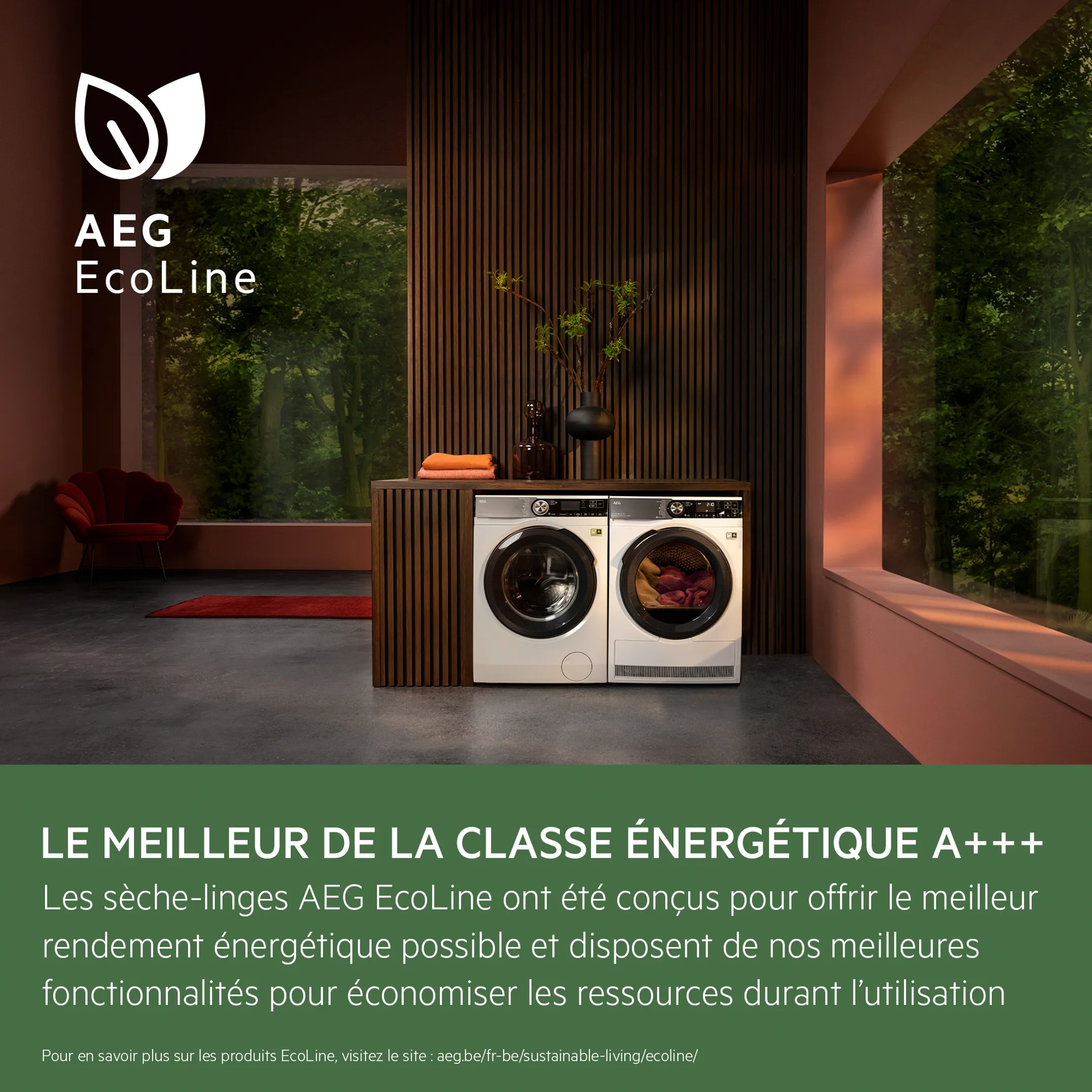 AEG Sèche-linge Série 9000 AbsoluteCare Plus ProSteam - TR99M78CS image