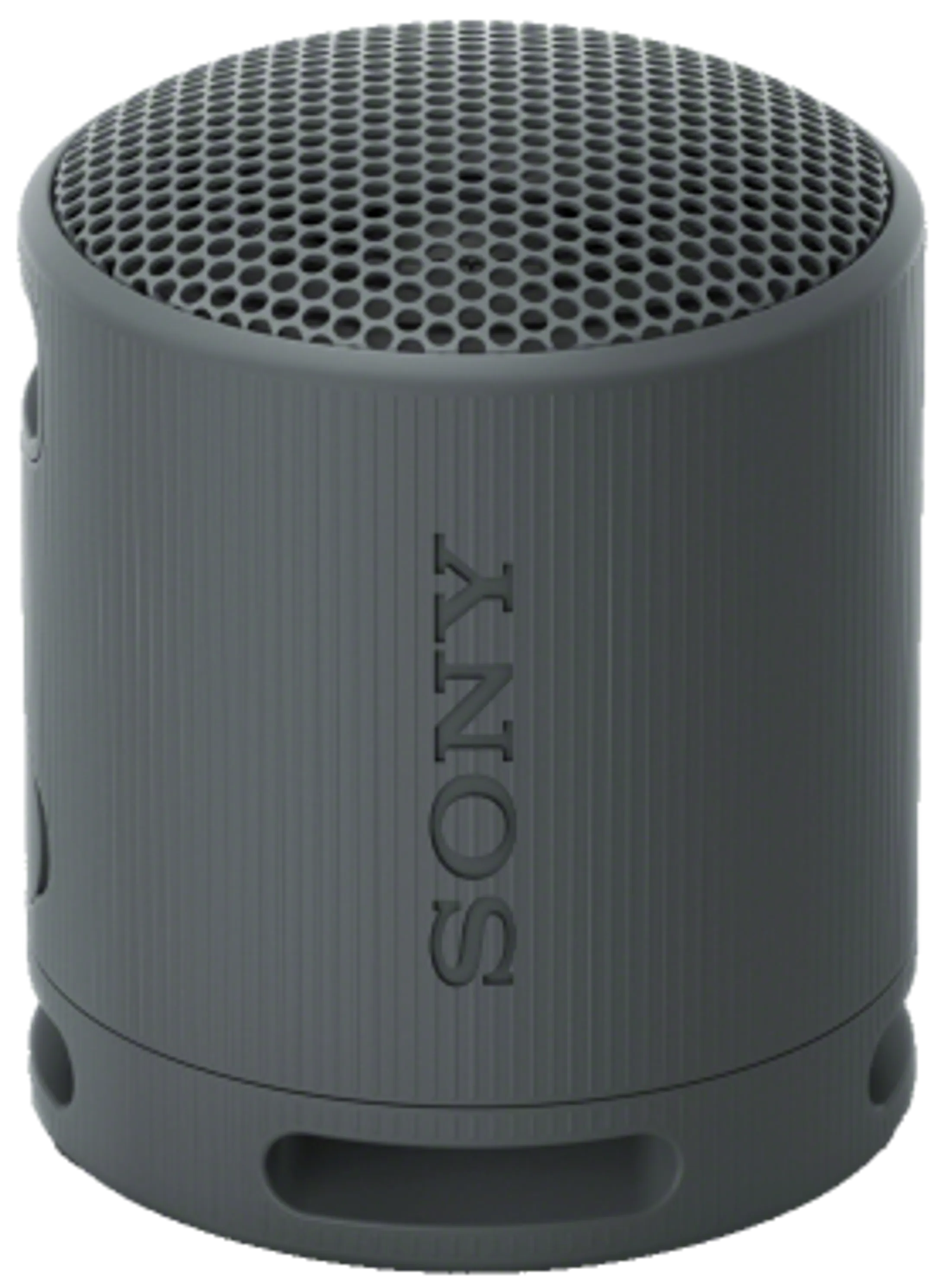 Enceinte Bluetooth SRS-XB100/B - Noir