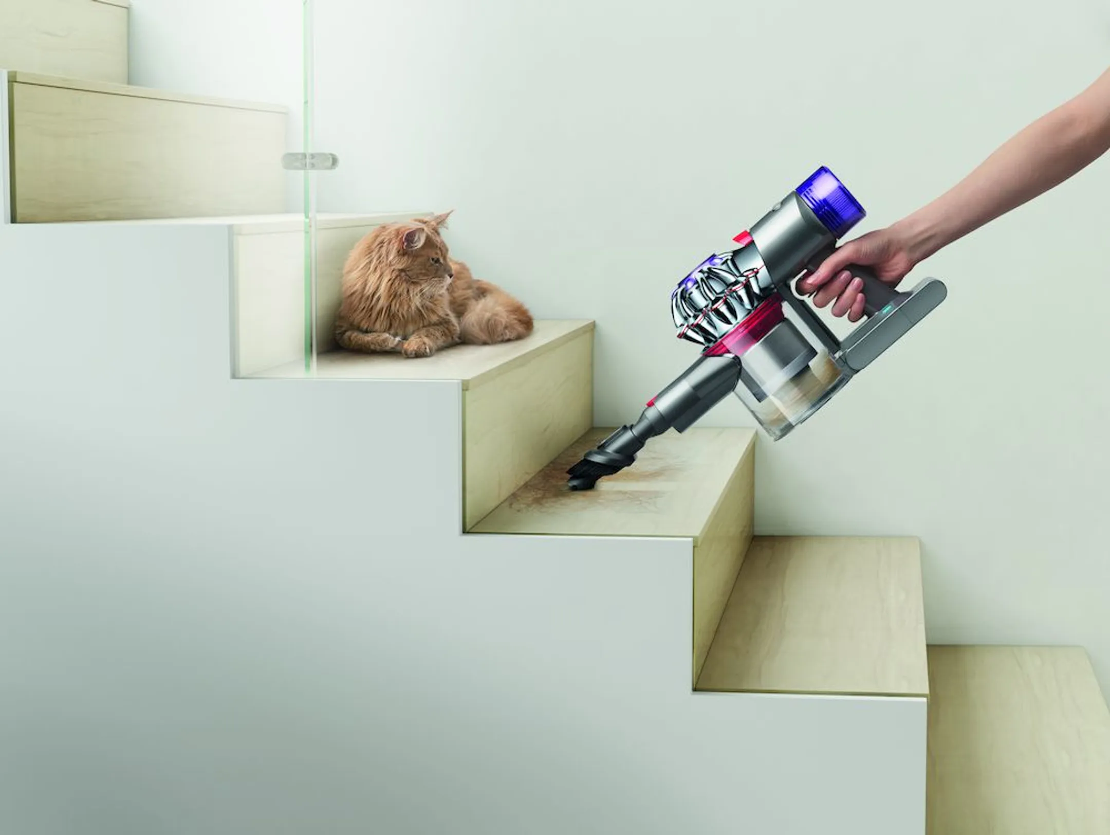 Dyson Aspirateur balai V8 image