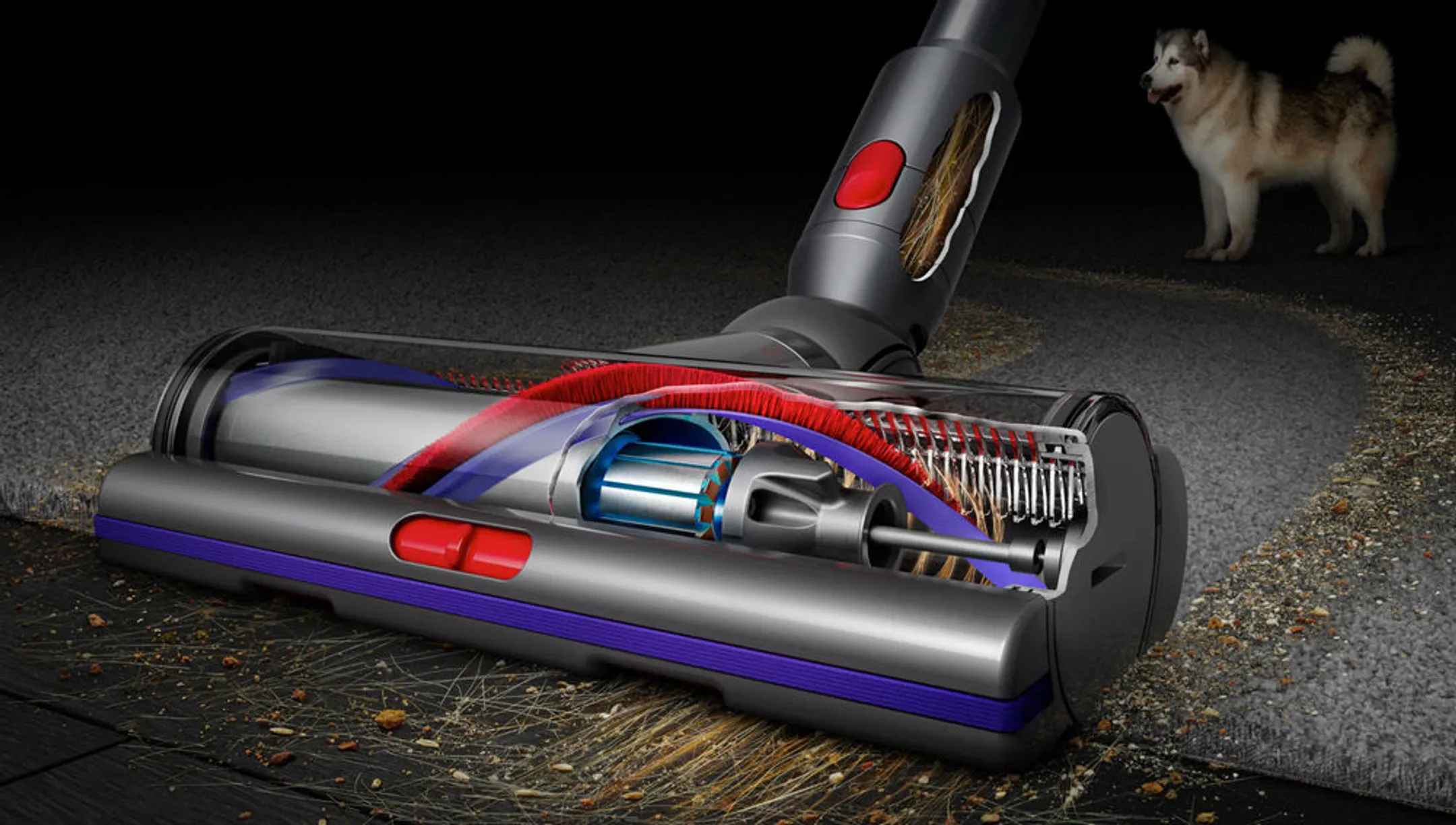 Dyson Aspirateur balai V15 Detect Absolute image