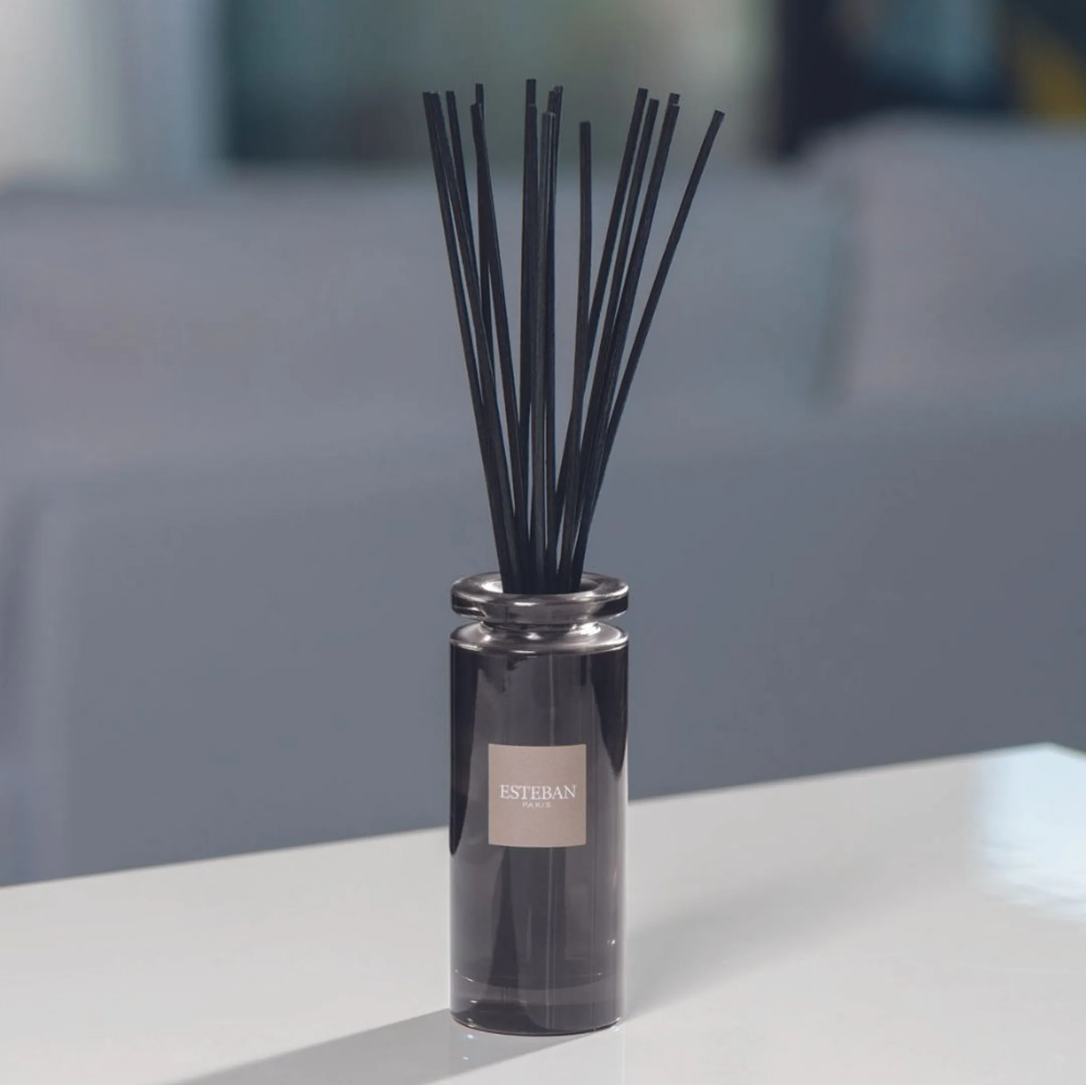 ESTEBAN Initial Teak and Tonka Scented Bouquet image