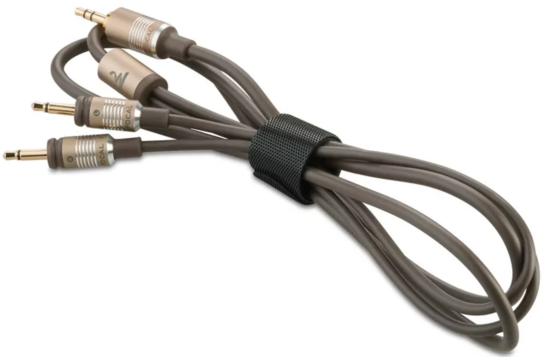 FOCAL High Fidelity Kopfhörer For Home Clear MG  image