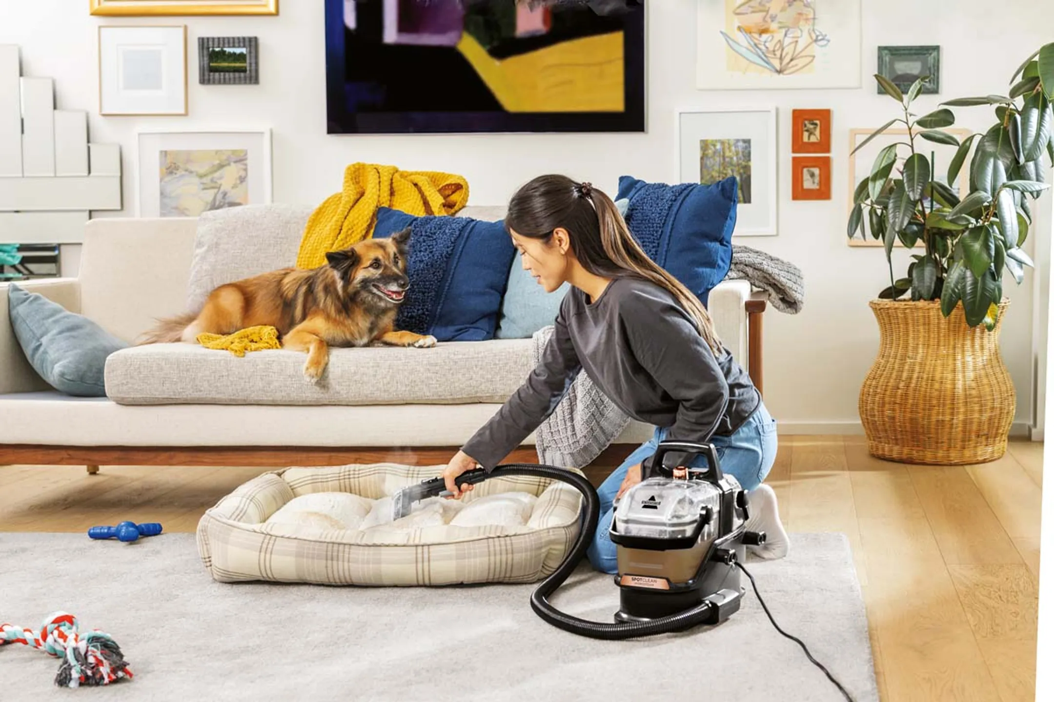 Bissell Spotclean Hydrosteam Pro Teppichreiniger - 3700N image