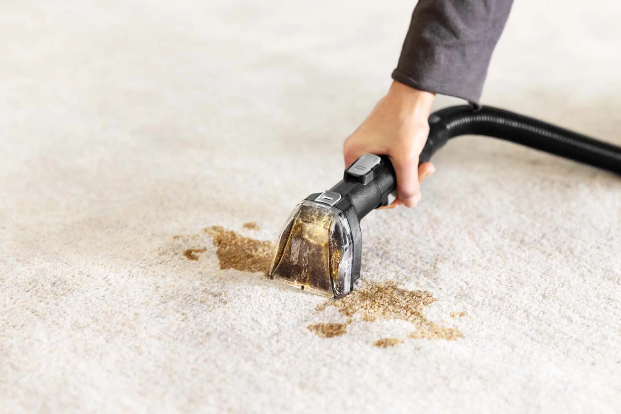 Bissell Spotclean Hydrosteam Pro Teppichreiniger - 3700N image