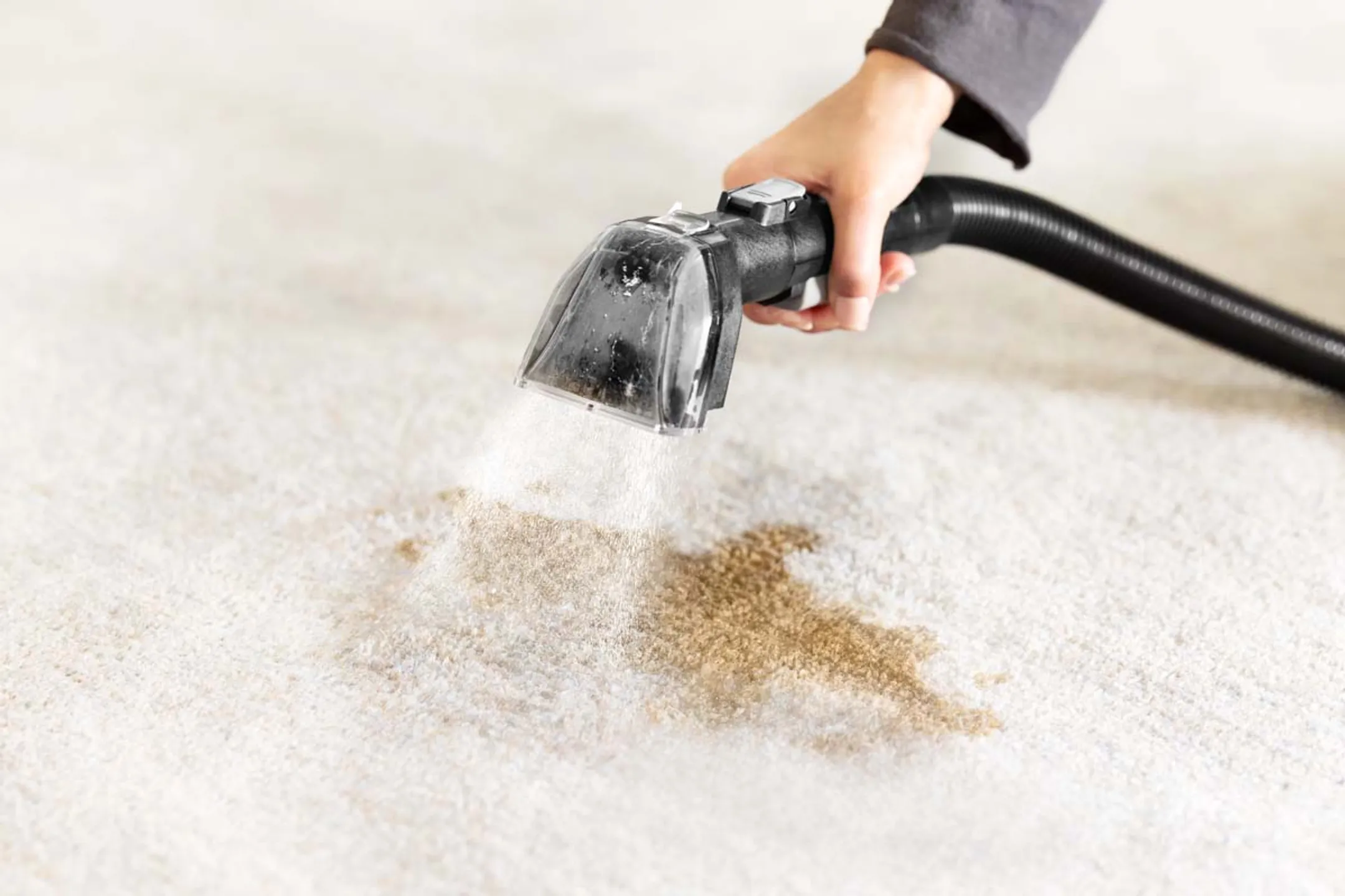 Bissell Spotclean Hydrosteam Pro Teppichreiniger - 3700N image