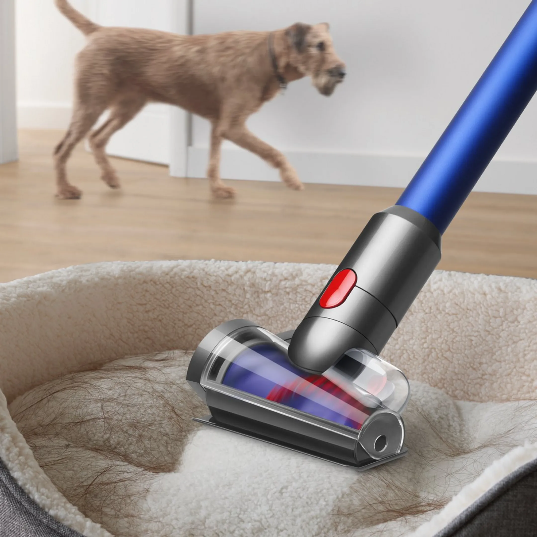 Dyson Kit de nettoyage en profondeur 972123-01 image