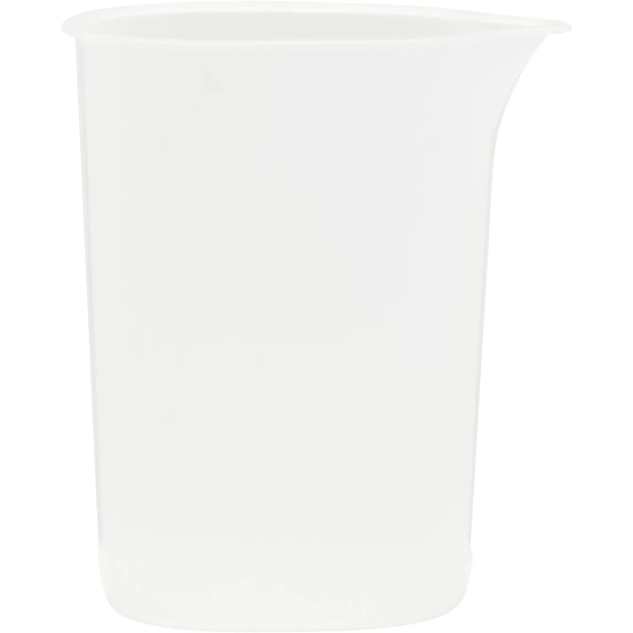 ESSENTIEL-B EFN4 iron  image