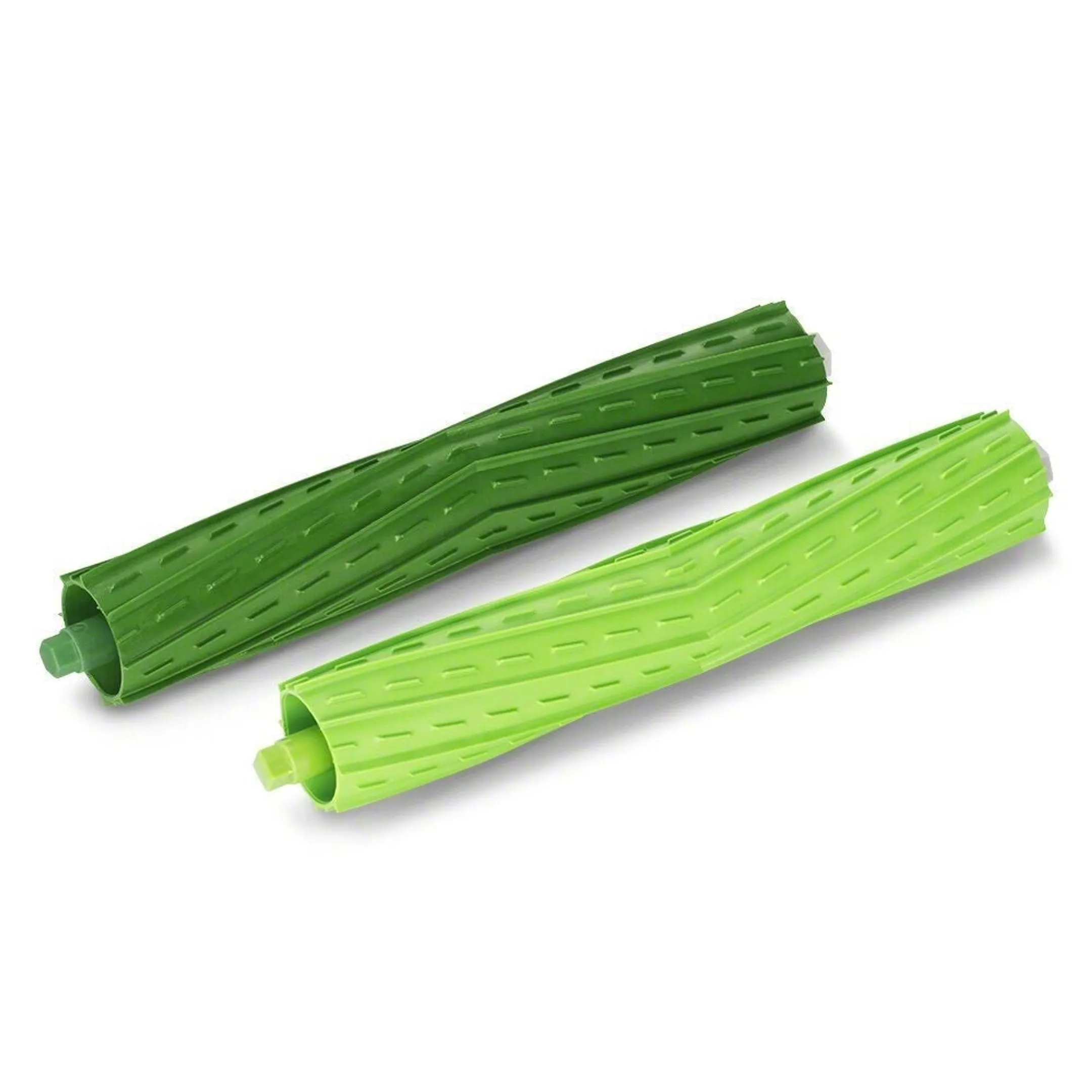 Pack 2 brosses de remplacement 