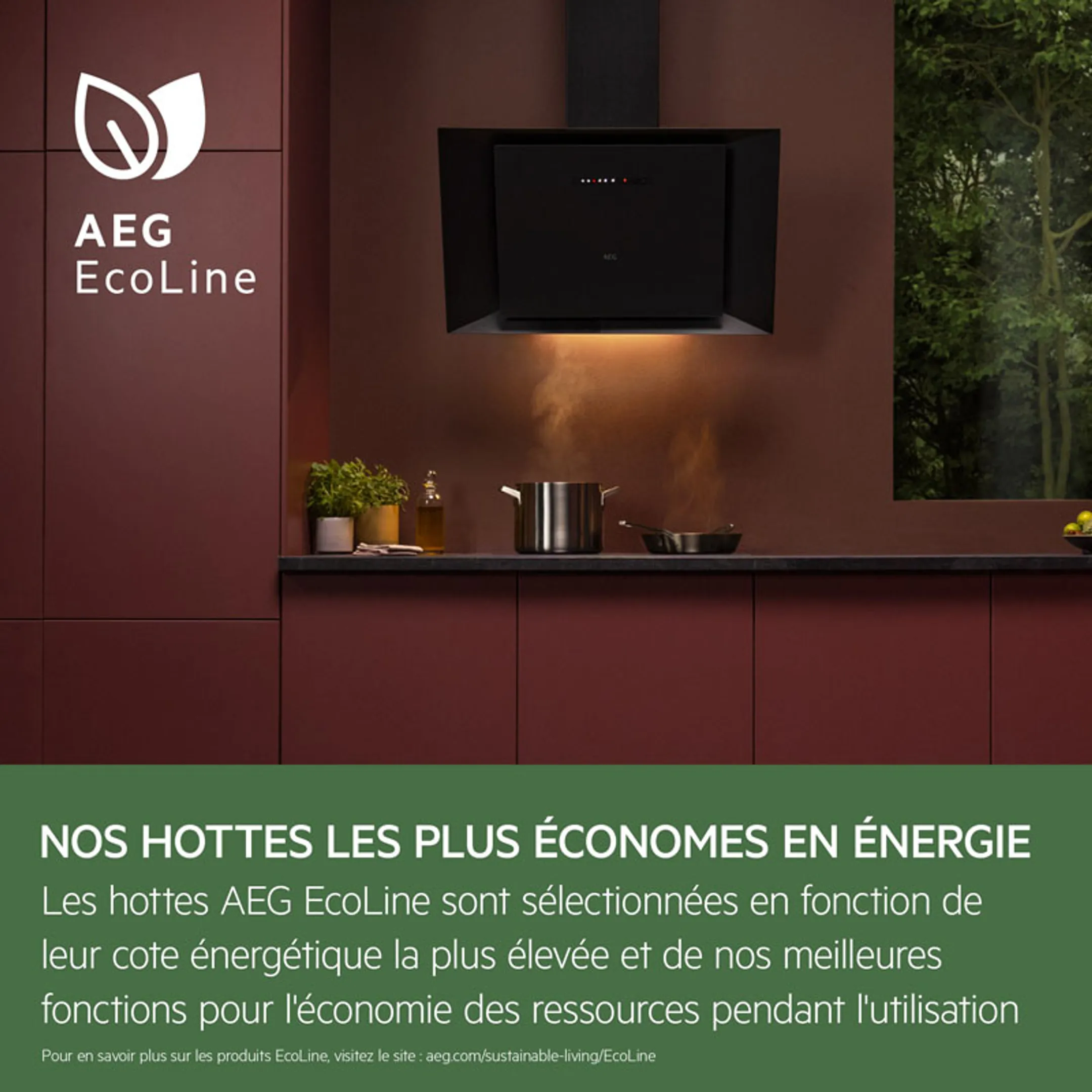 AEG Hotte aspirante DGE5661HM Hob2Hood image