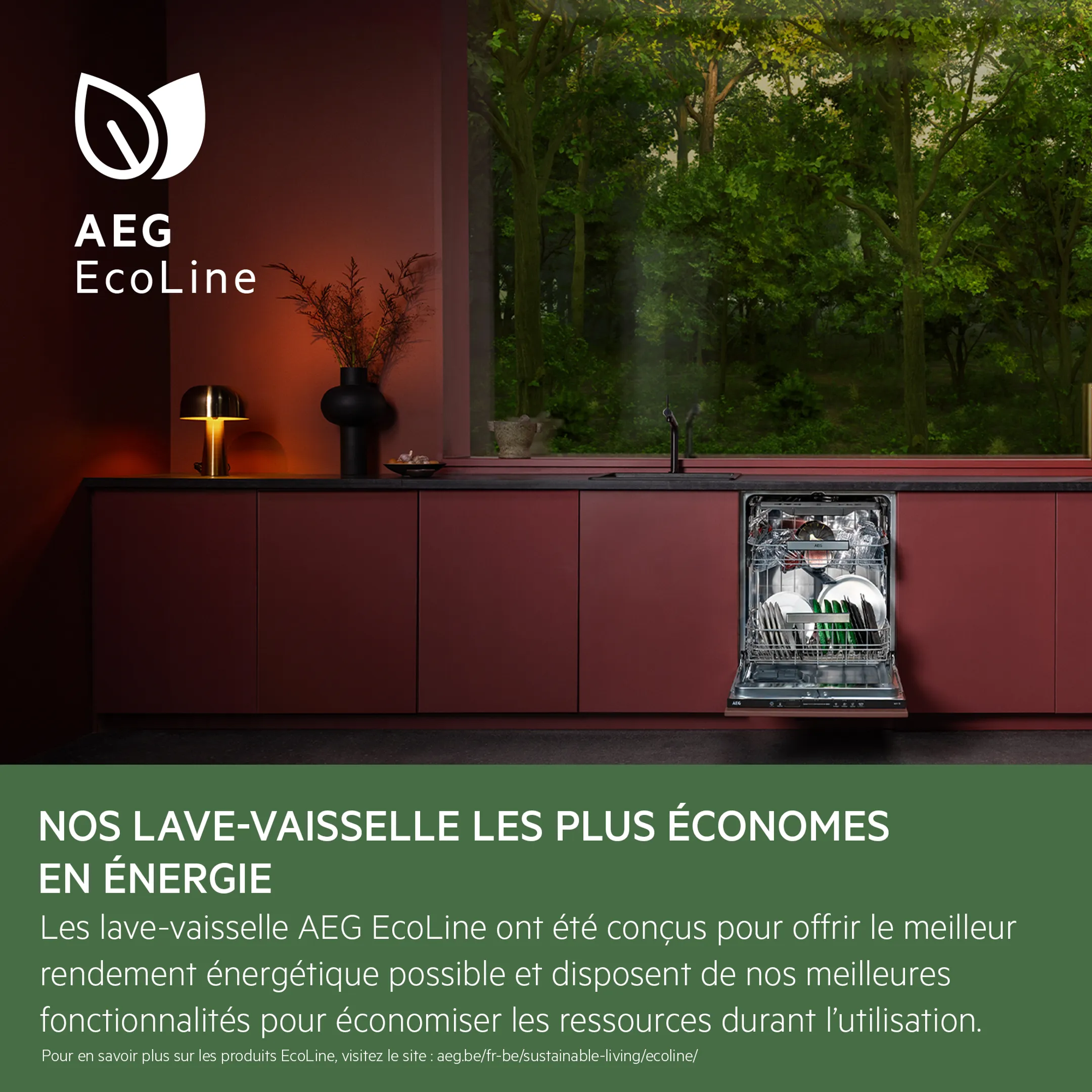 AEG Lave-vaisselle encastrable FSE74617P QuickSelect AirDry image
