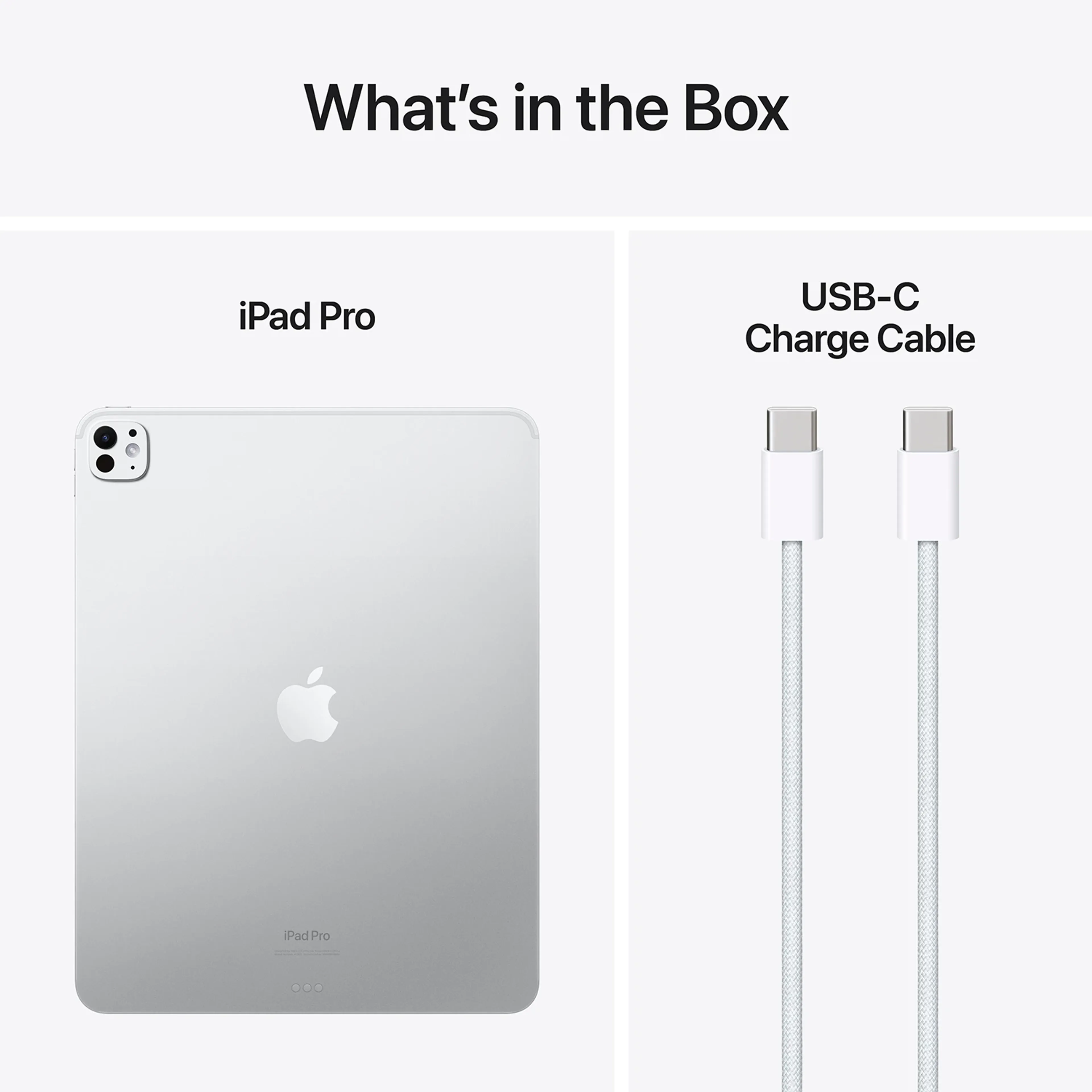 Apple iPad Pro (2024) 13" M4 2To Wi-Fi + 5G Argent image