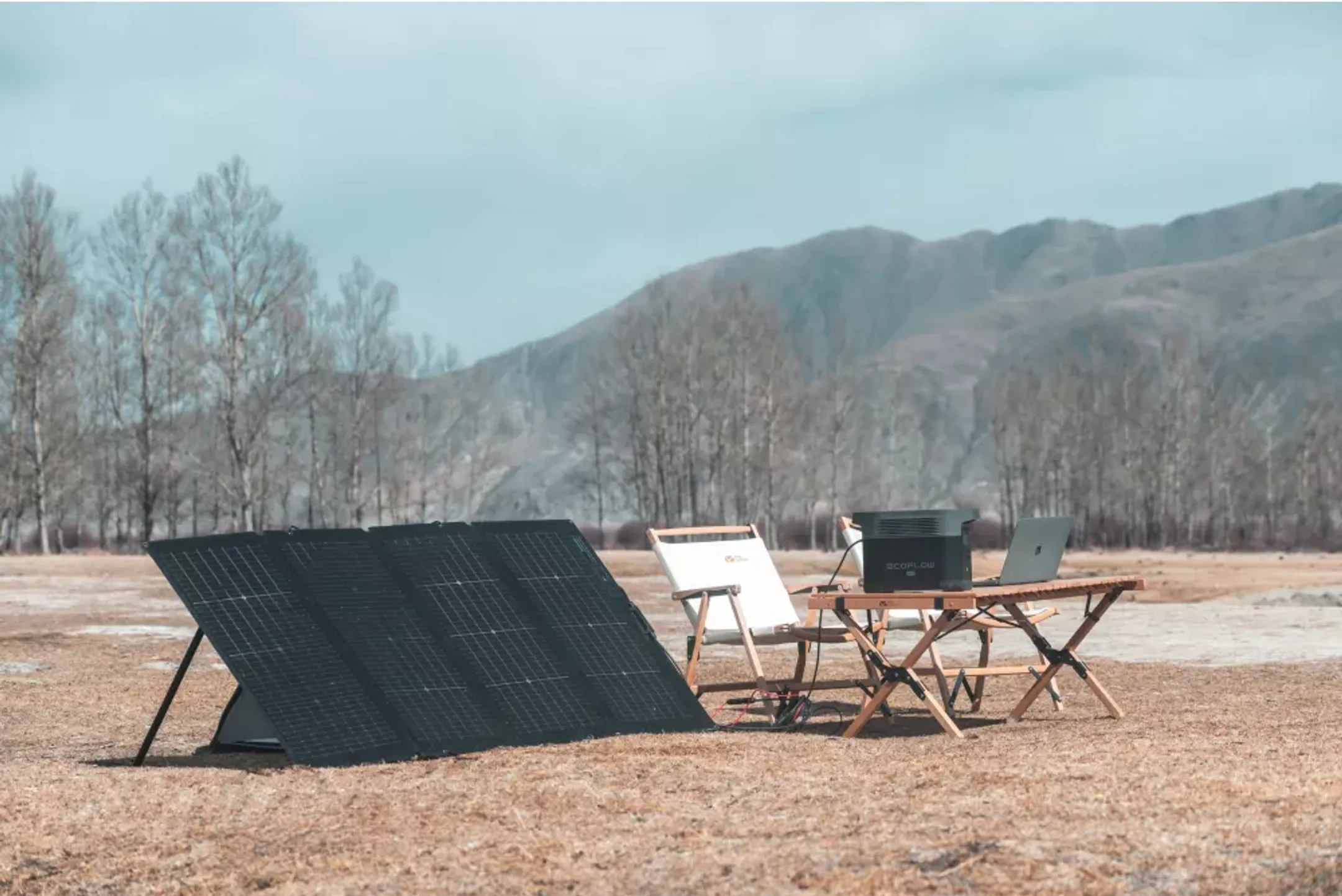 ECOFLOW Portable bifacial solar panel 220 W image