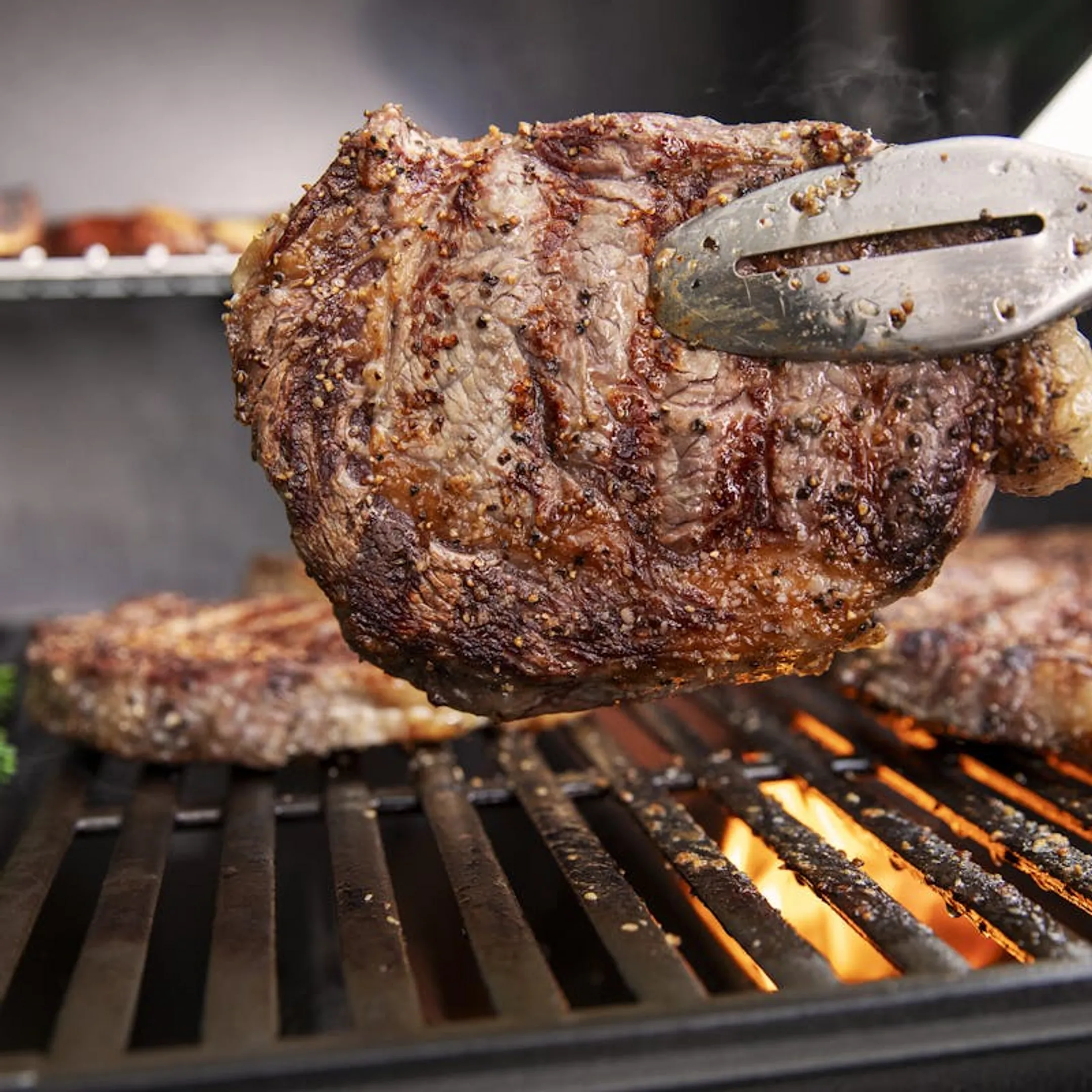 Weber Barbecue à gaz Genesis E-315 image