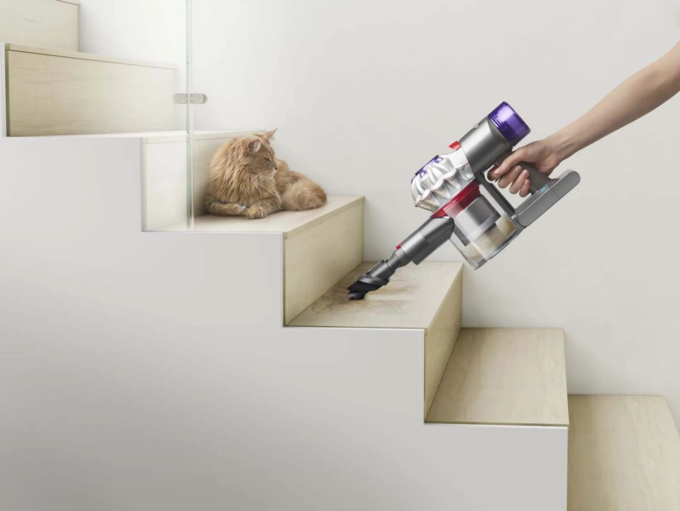 Dyson Upright vacuum cleaner V8 Advanced image