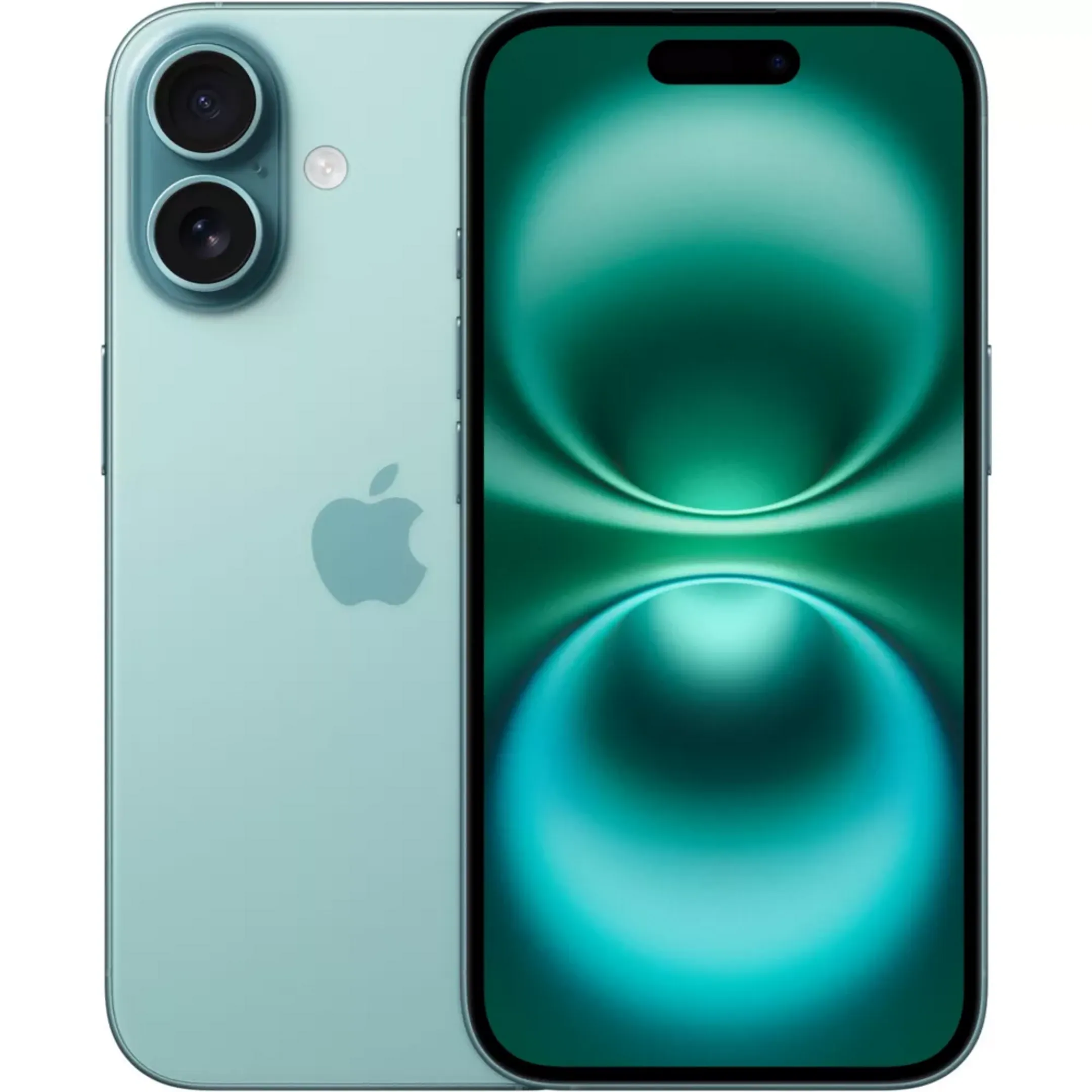 iPhone 16 256 Go - Teal