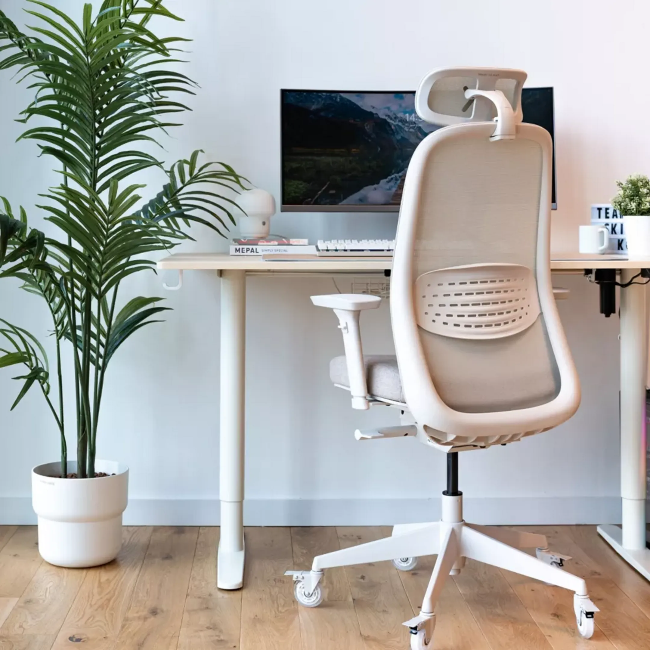 Skillkorp Gaming-Stuhl SKP C15 Ergo - Beige image