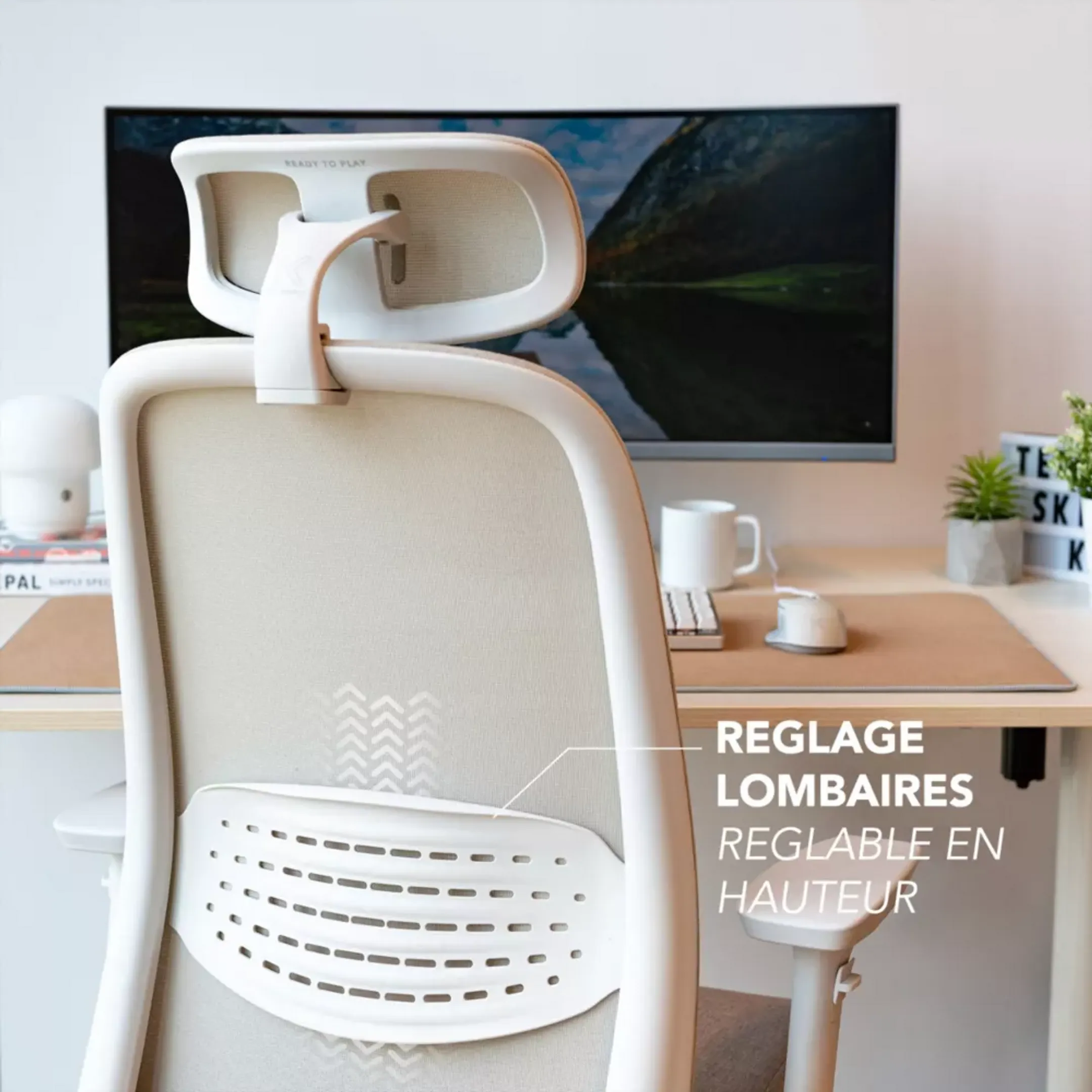 Skillkorp Chaise Gaming SKP C15 Ergo - Beige image