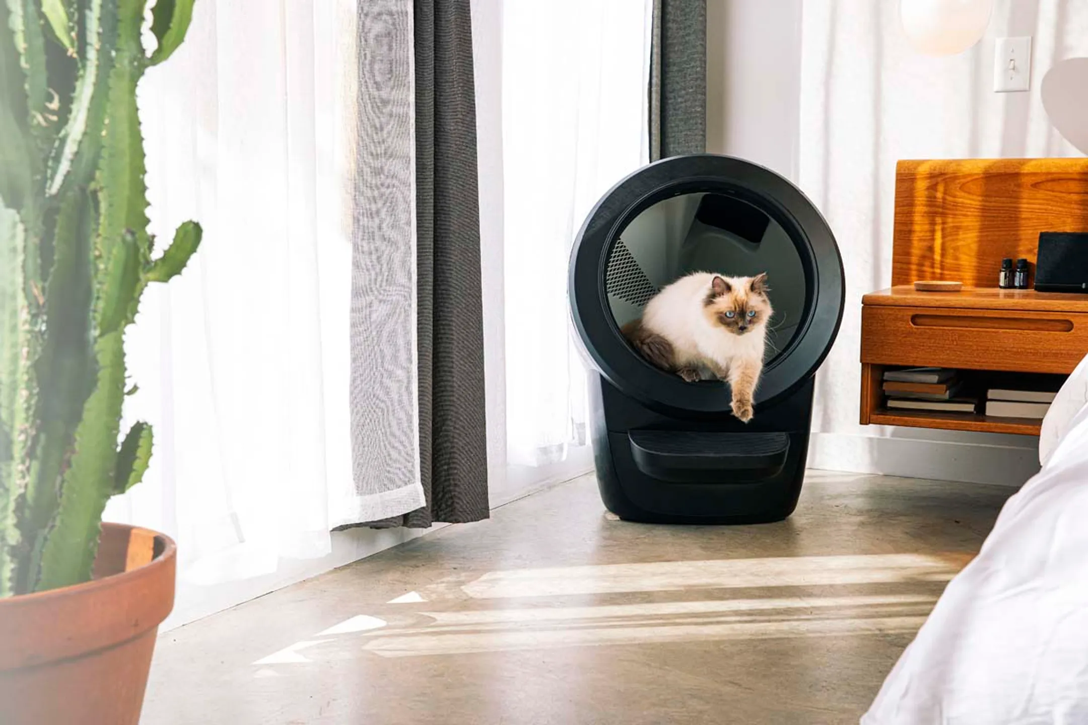 LITTER ROBOT Automatic litter box Litter-Robot 4 - Black image