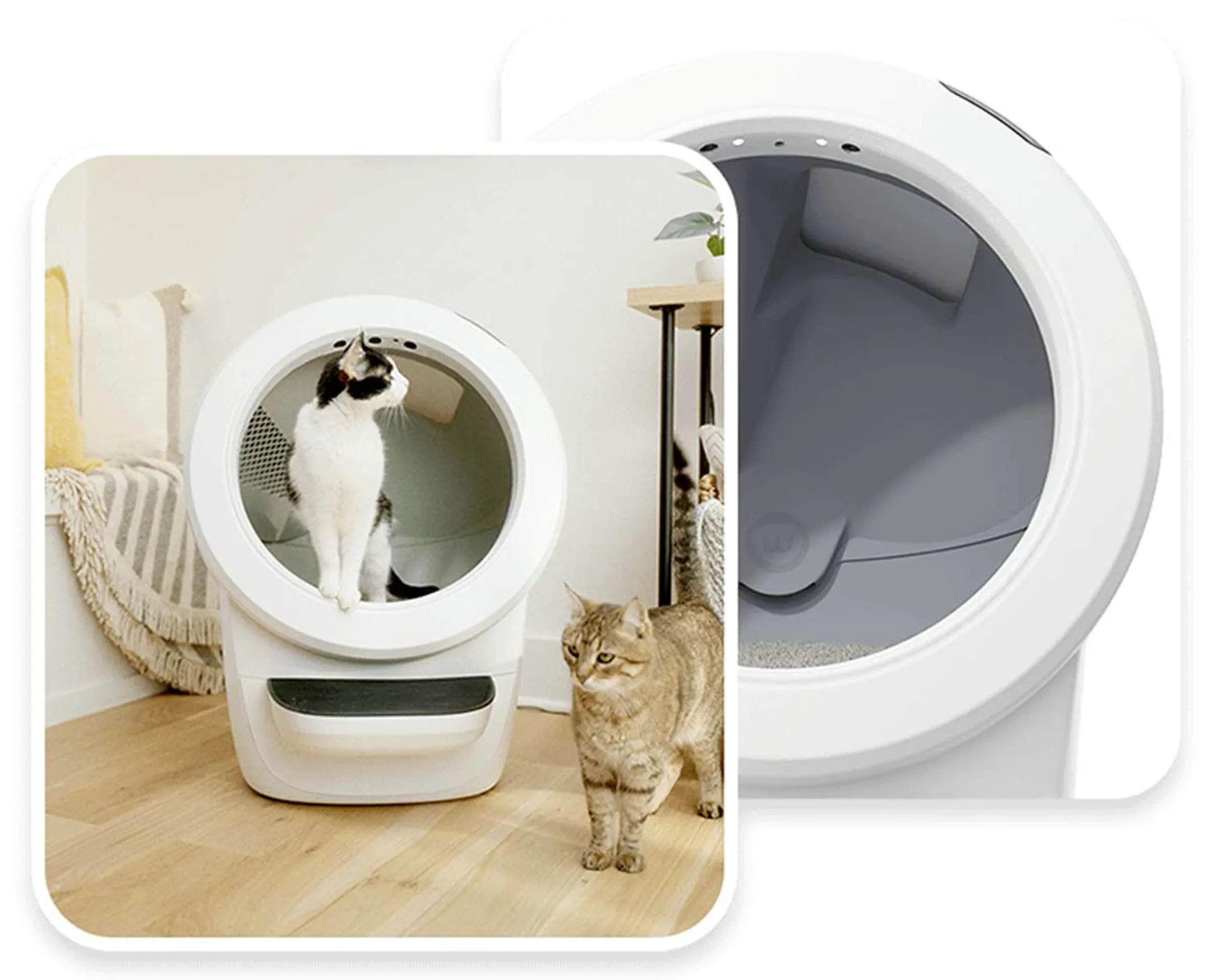 LITTER ROBOT Automatic litter box Litter-Robot 4 - White image