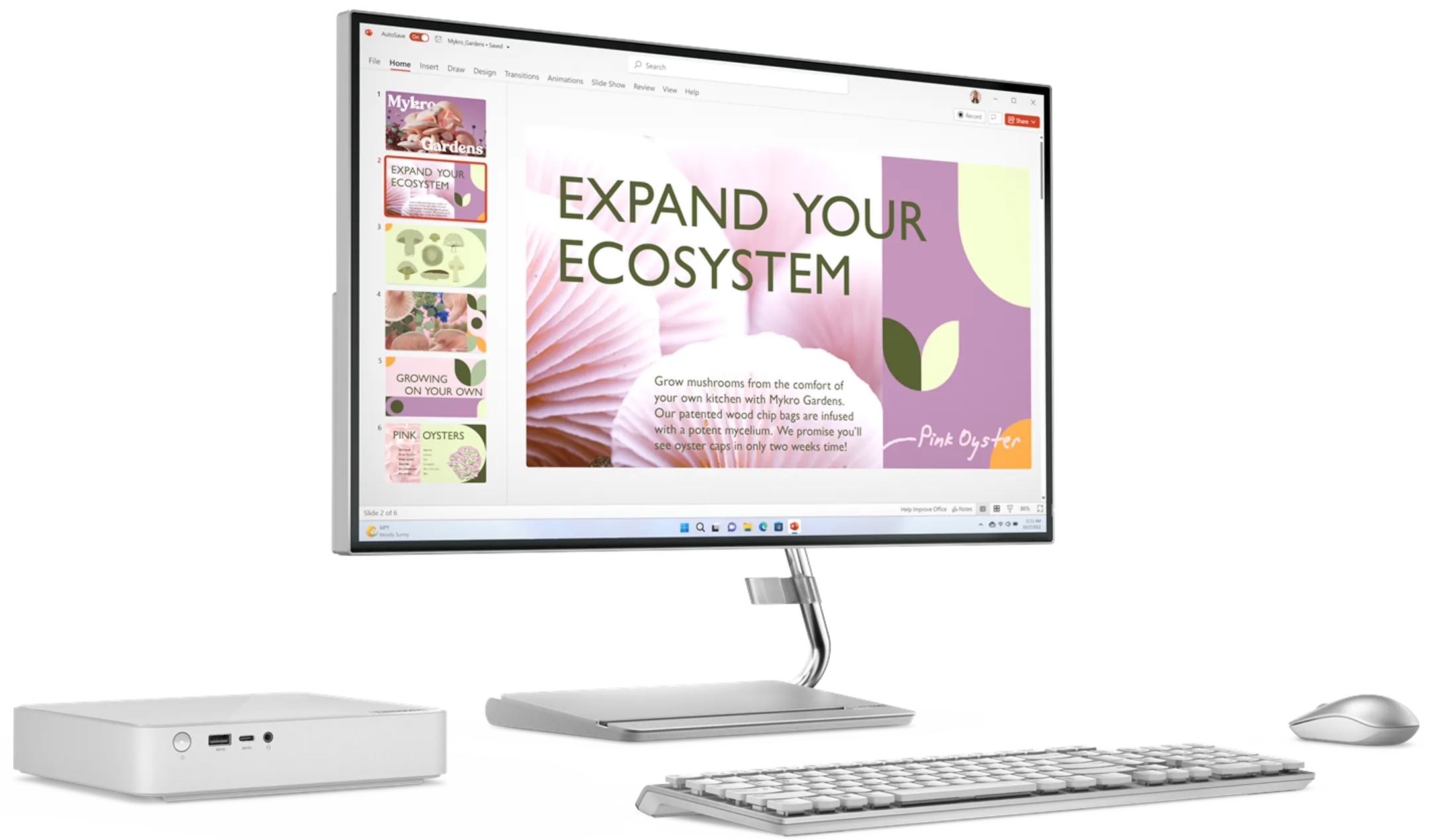 Lenovo Desktop-PC IdeaCentre Mini i5 6Go 1To SSD 01IRH8 image