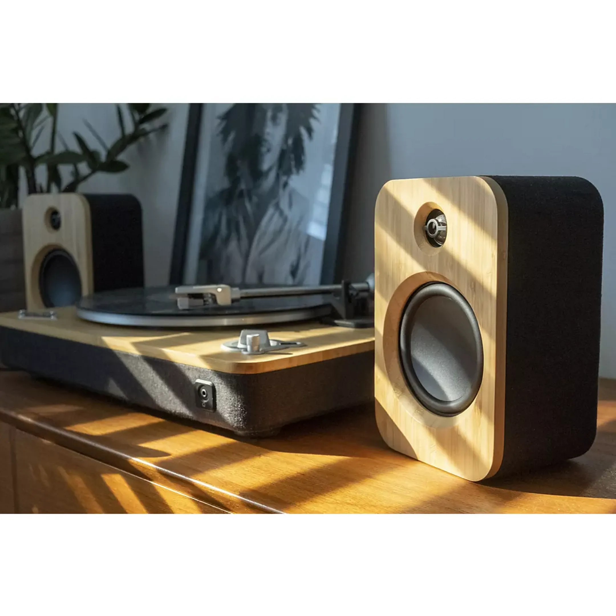 Bluetooth speakers Get Together Duo - Wood