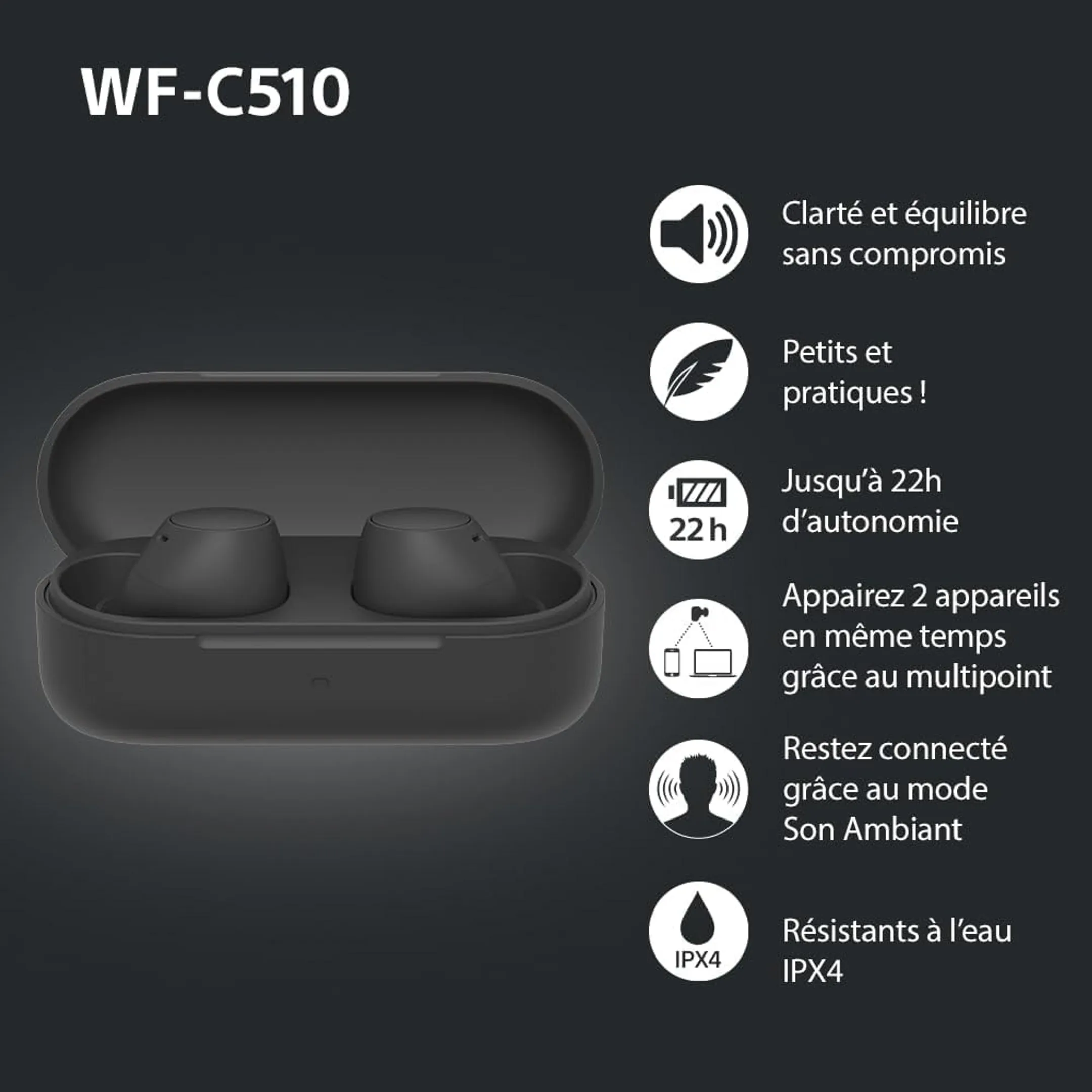 Sony Écouteurs sans fil WF-C510 - Noir image