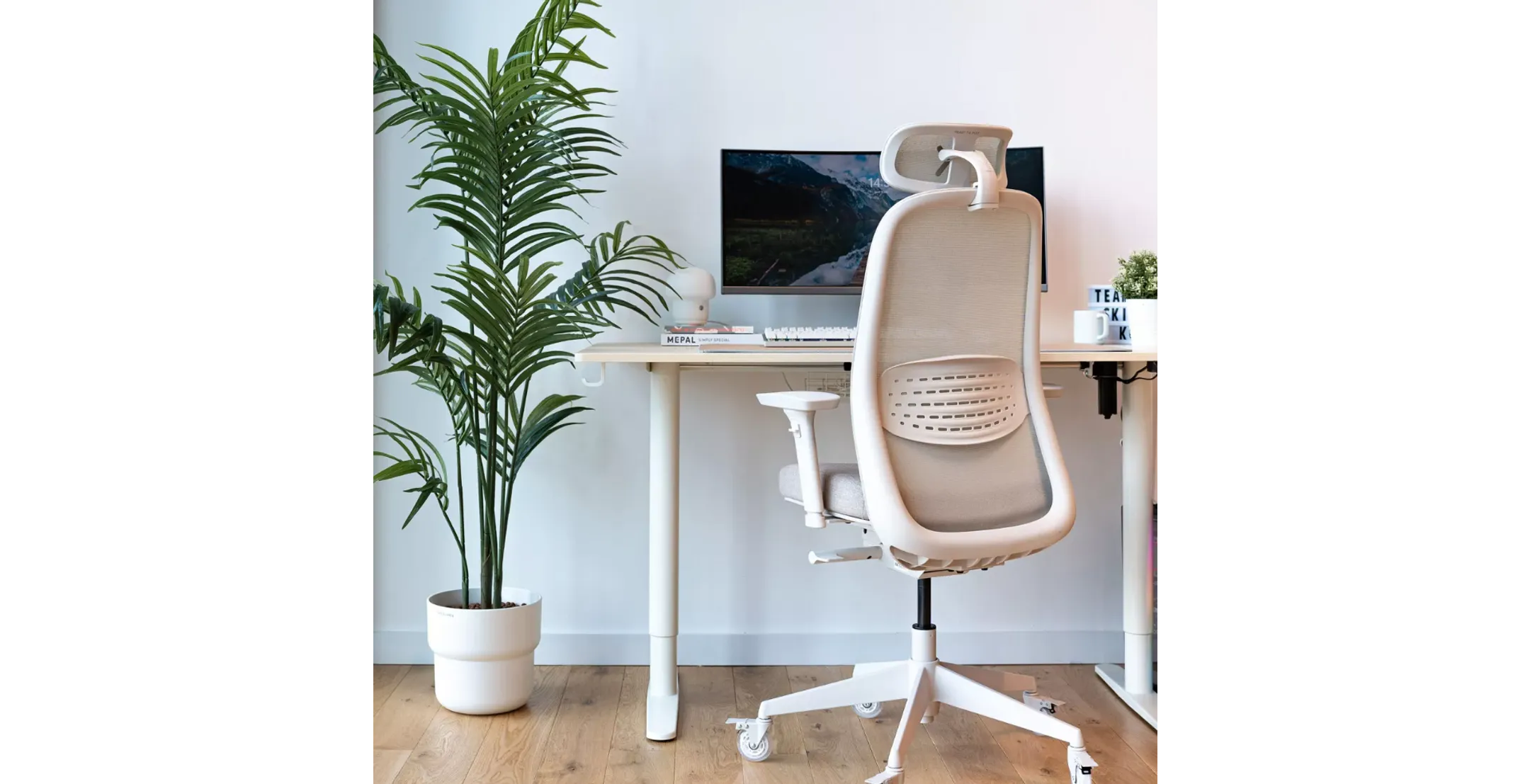 Skillkorp Motorized desk D15M - White image