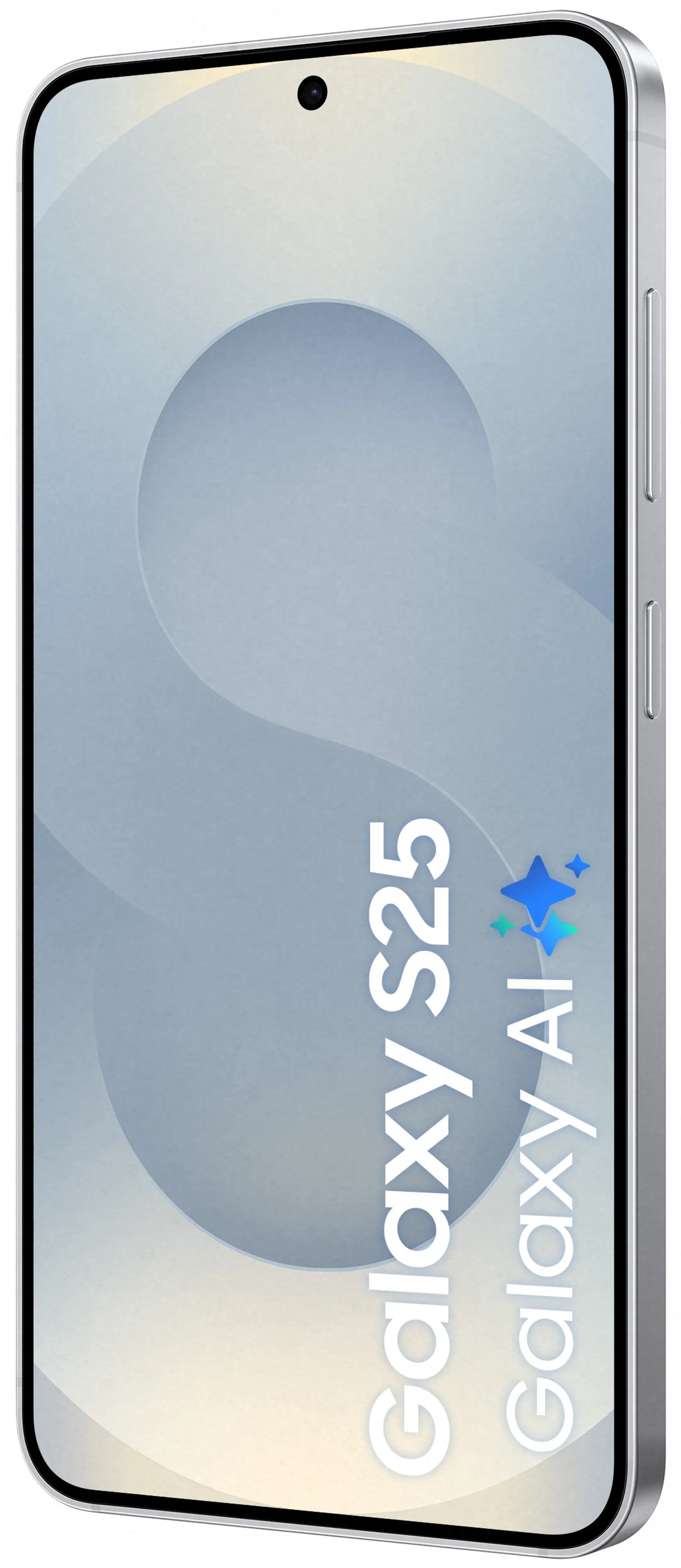 Samsung Smartphone Galaxy S25 - 256Go - Silver Shadow image