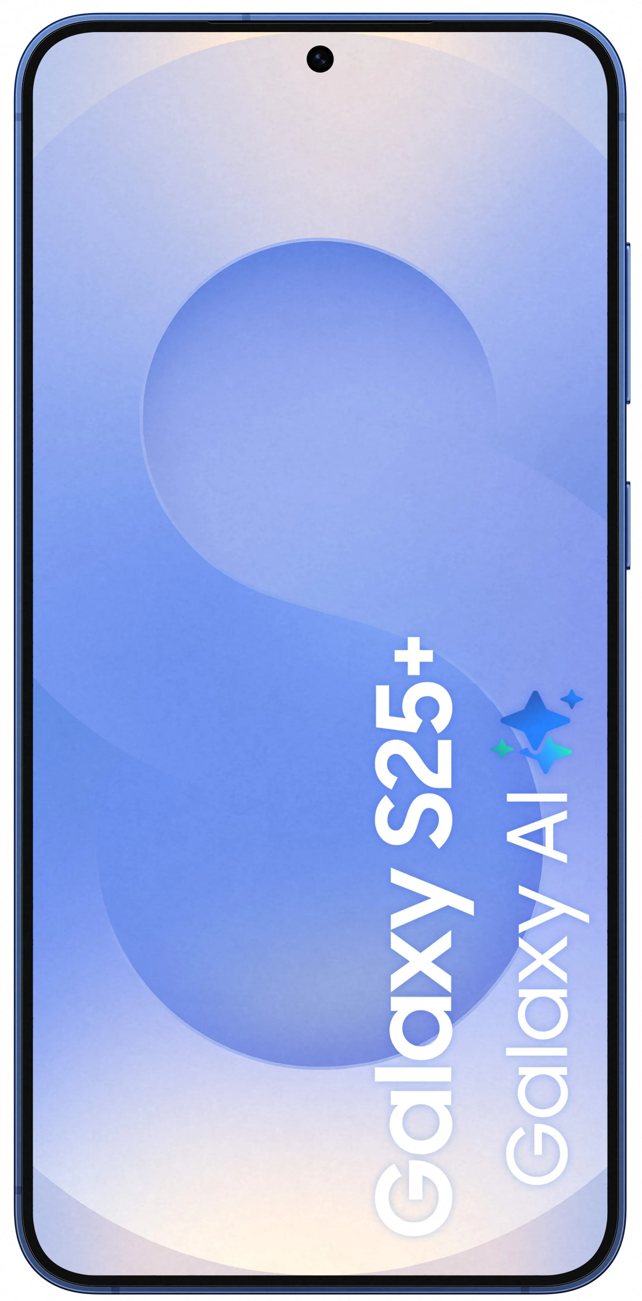 Samsung Smartphone Galaxy S25+ - 256GB - Navy image