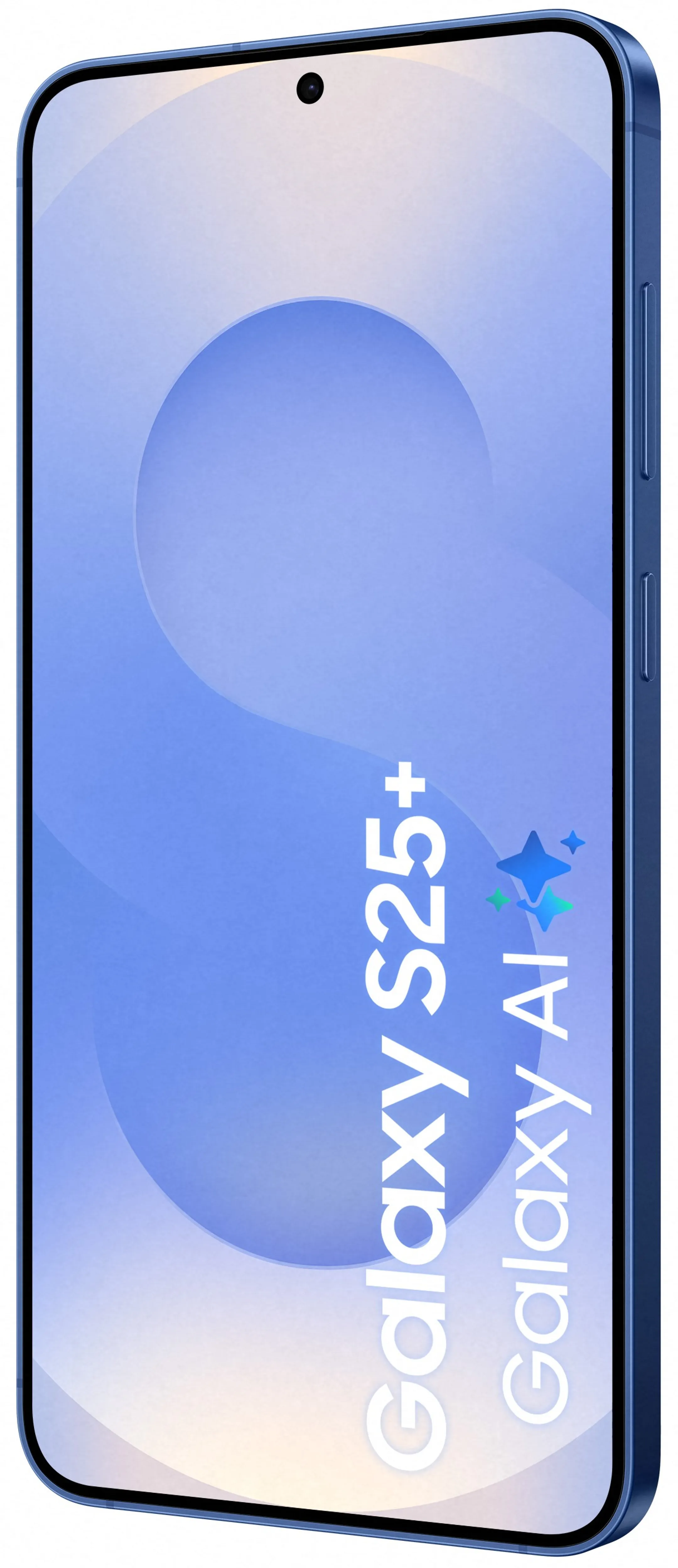 Samsung Smartphone Galaxy S25+ - 256GB - Navy image
