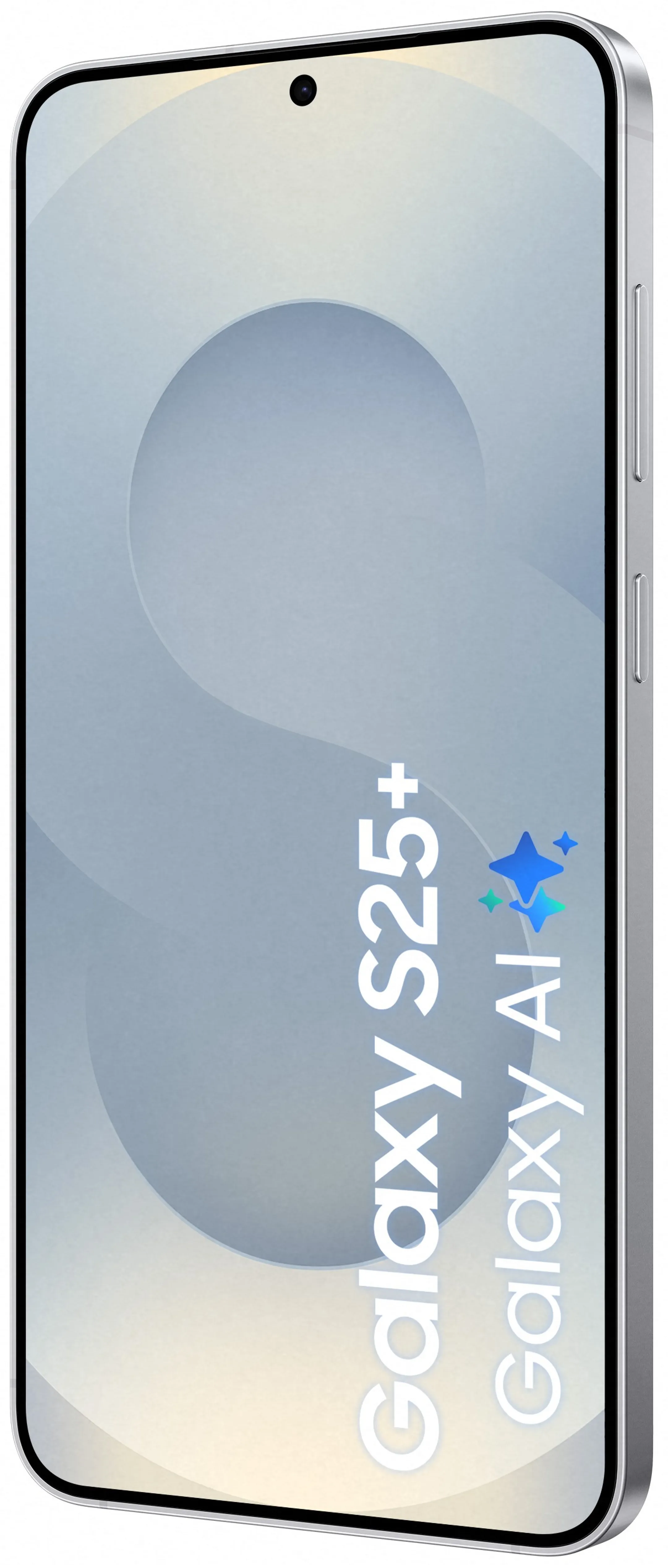 Samsung Smartphone Galaxy S25+ - 256Go - Silver Shadow image